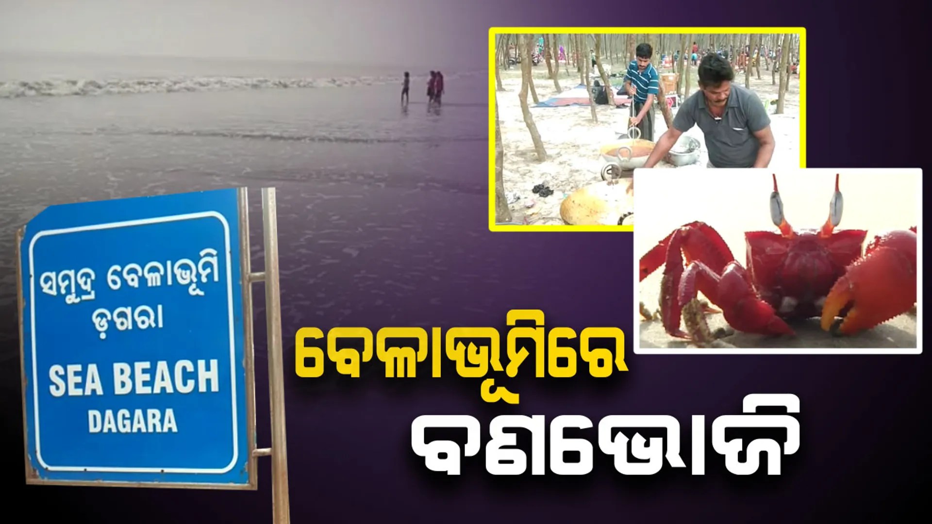 ପର୍ଯ୍ୟଟନ ଋତୁରେ ବେଳାଭୂମିରେ ଜମୁଛି ପର୍ଯ୍ୟଟକଙ୍କ ଭିଡ । ବାଲେଶ୍ୱର ବାଲିଆପାଳ ଡଗରା ସମୂଦ୍ର କୂଳରେ ଦର୍ଶକଙ୍କ ମନ ମୋହୁଛନ୍ତି ନାଲି କଙ୍କଡା