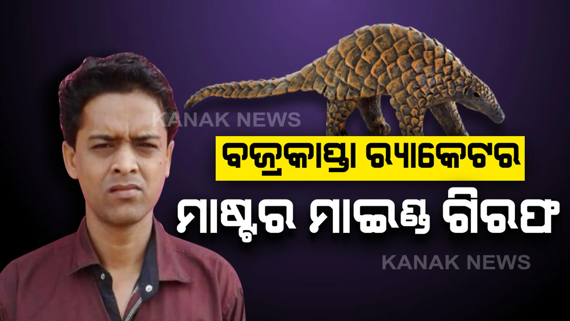ବଜ୍ରକାପ୍ତା ଚୋରାଚାଲାଣର ମାଷ୍ଟର ମାଇଣ୍ଡ ଗିରଫ । ମୁଖ୍ୟ ଅଭିଯୁକ୍ତ ମାଧବ ଚନ୍ଦ୍ର ପାତ୍ରକୁ ନିଆଳିରୁ ଗିରଫ କଲା ବନବିଭାଗ