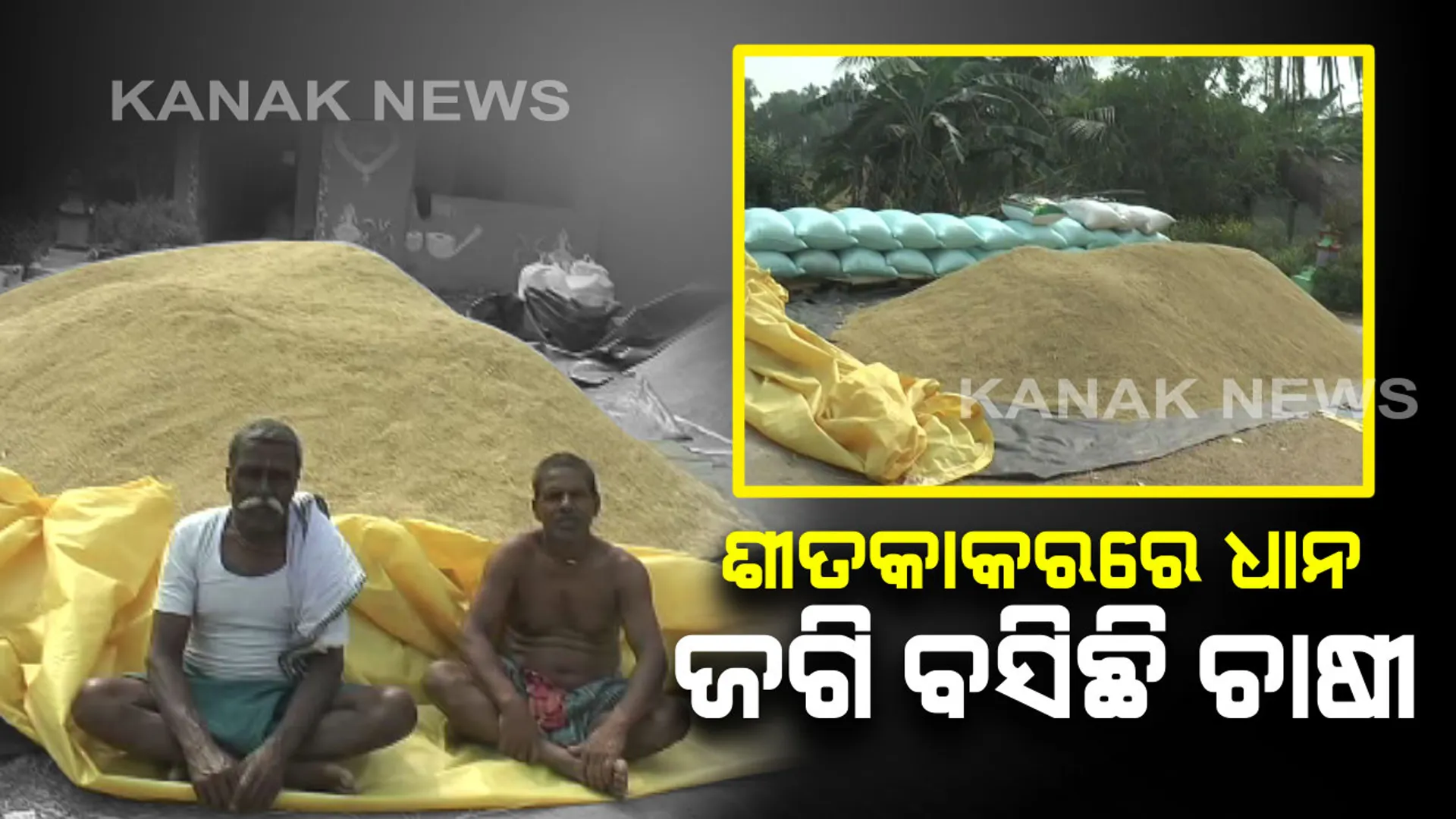 ଖଳାରେ ଧାନବସ୍ତା ରଖି ବିକ୍ରି ପାଇଁ ଅପେକ୍ଷା...ମଣ୍ଡି ଖୋଲିବ ଧାନ ବିକ୍ରି ହେବ, ଆଶା ଆଶଙ୍କାରେ ପୁରୀ ଜିଲ୍ଲା ଗୋପ ଅଂଚଳର ଚାଷୀ