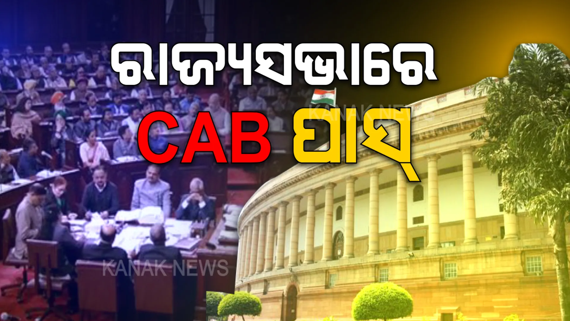 ରାଜ୍ୟସଭାରେ ନାଗରିକତା ସଂଶୋଧନ ବିଲ୍ ପାସ୍: ସପକ୍ଷରେ ୧୨୫, ବିପକ୍ଷରେ ପଡିଲା ୧୦୫ ଭୋଟ୍