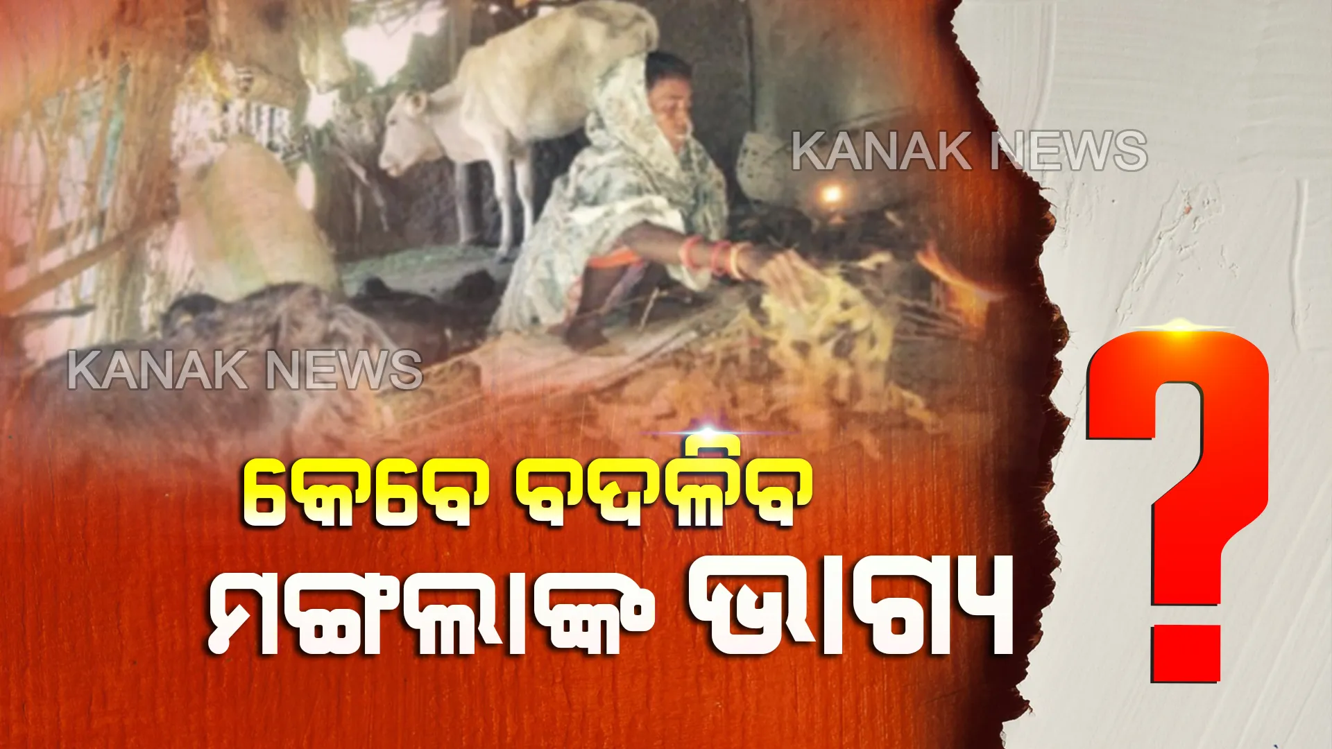ଆବାସ ନାଁରେ ଉପହାସ...ଘର ନାହିଁ କି ରାସନ ନାହିଁ, ଗୁହାଳ ପାଲଟିଛି ହାଣ୍ଡିଶାଳ ତଥାପି ପଡୁନି ପ୍ରଶାସନର ନଜର...କେବେ ବଦଳିବ ମଙ୍ଗଲାଙ୍କ ଭାଗ୍ୟ?