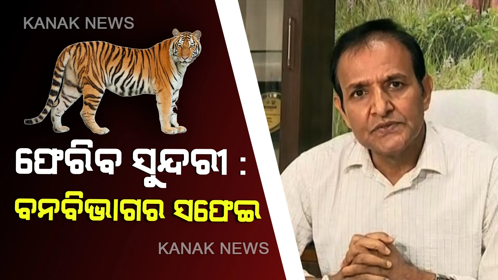 'ବାଘୁଣୀ'କୁ ଫେରାଇ ନେବାକୁ ଏନଟିସିଏର ଚିଠି ପରେ କର୍ତ୍ତୃପକ୍ଷଙ୍କ ସଫେଇ । ଚିଫ୍ ୱାଇଲ୍ଡ ଲାଇଫ୍ ୱାର୍ଡେନ କହିଲେ, ବ୍ୟାଘ୍ର ପ୍ରକଳ୍ପ ବିଫଳ ହେବା କହିବା ଠିକ୍ ହେବନି
