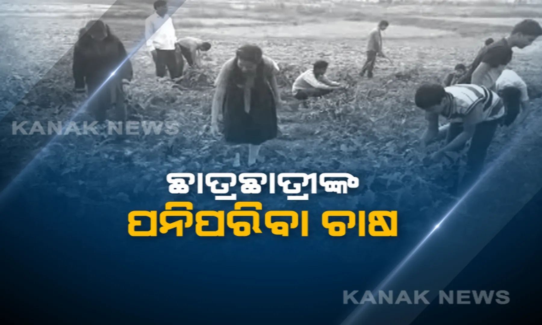 ସ୍କୁଲ ହତାରେ କୃଷି...ବଗିଚାରେ ଲାଗିଛି ବିଭିିନ୍ନ ପନିପରିବା ସହ ଫଳ ଗଛ...ପାଠପଢା ସହିତ କୃଷି ଭିତ୍ତିକ ଜ୍ଞାନ ଶିଖୁଛନ୍ତି ତକ୍ଷଶୀଳା ପବ୍ଲିକ ସ୍କୁଲର ଛାତ୍ରଛାତ୍ରୀ