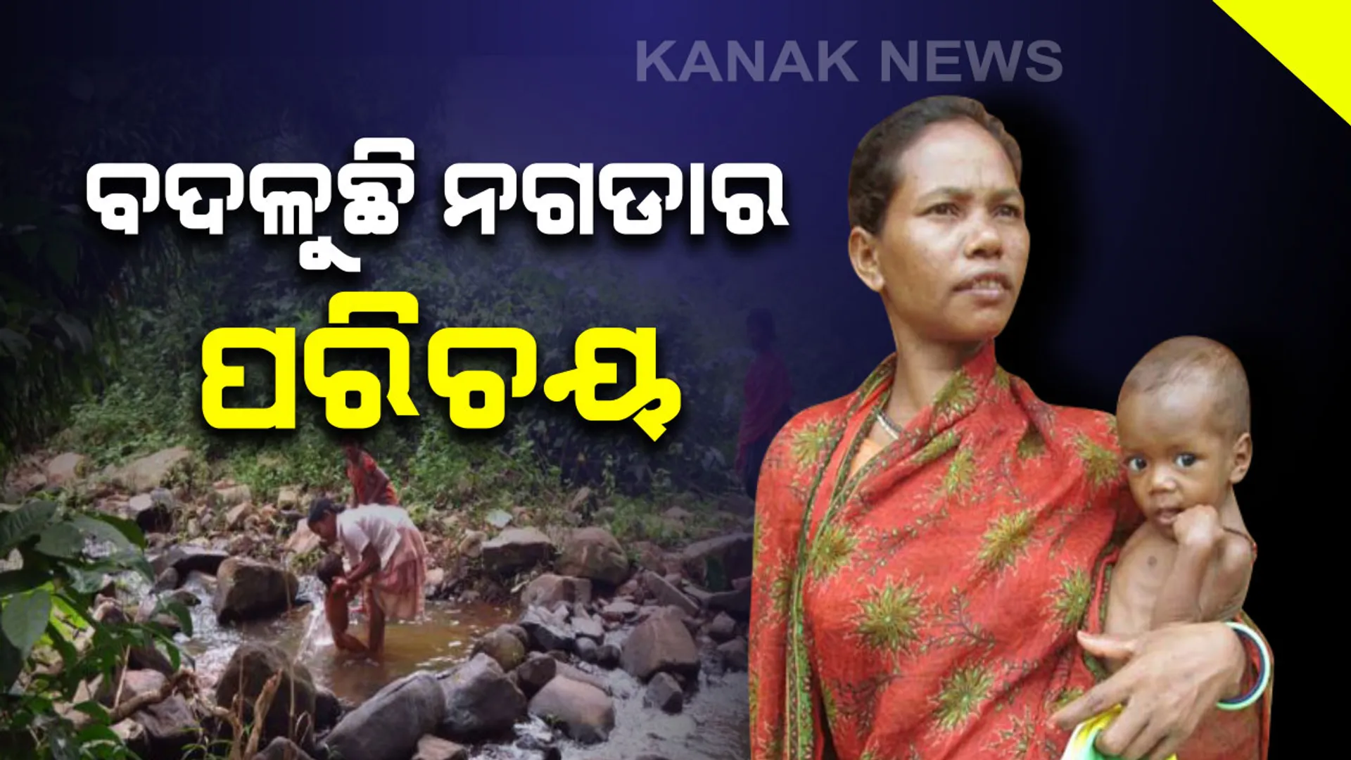 ବଦଳୁଛି ନଗଡାର ପରିଚୟ: ଦିନେ ଜଙ୍ଗଲରୁ କାଠ ସଂଗ୍ରହ କରି ବଂଚୁଥିଲେ ଆଜି କିନ୍ତୁ ଗଛ ଲଗାଇ ପୋଷୁଛନ୍ତି ପେଟ; ବିଭିନ୍ନ କ୍ଷେତ୍ରରେ କାମ କରି ପାରଦର୍ଶିତା ଦେଖାଉଛନ୍ତି ନଗଡାବାସୀ