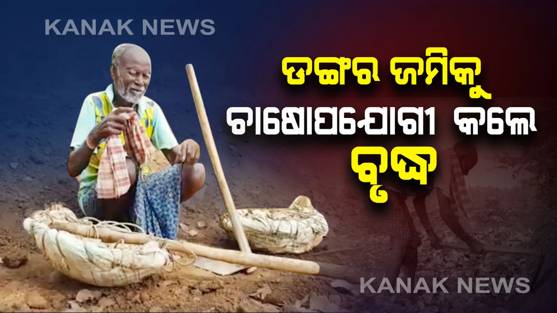 ଇଚ୍ଛାଶକ୍ତି ଆଗରେ ହାର ମାନିଛି ବାର୍ଦ୍ଧକ୍ୟ : ୪ ବର୍ଷରେ ୪ ଏକର ଡଙ୍ଗର ଭୂମିକୁ ସମତୁଲ କରି ଚାଷ ଉପଯୋଗୀ କଲେ ୯୦ ବର୍ଷୀୟ ବୃଦ୍ଧ