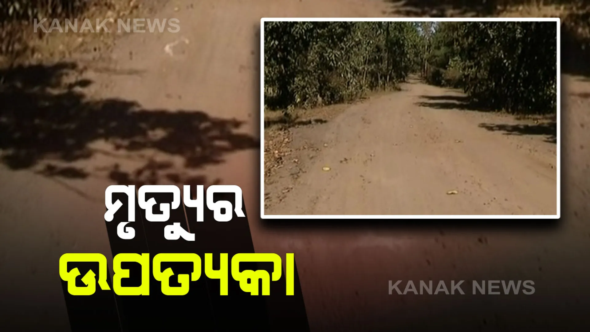 ଓଡିଶା ଛତିଶଗଡ ସୀମାନ୍ତ ଜଙ୍ଗଲ ପାଲଟିଛି ମୃତ୍ୟୁର ଉପତ୍ୟକା । କଳ୍ପନାଙ୍କ ମୃତଦେହ ଉଦ୍ଧାର ହୋଇଥିବା ସ୍ଥାନରେ ଶହ ଶହ ଶବ ଫିଙ୍ଗି ଦିଆଯାଉଥିବା ଅଭିଯୋଗ ଆଣିଲେ ସ୍ଥାନୀୟ ଲୋକେ