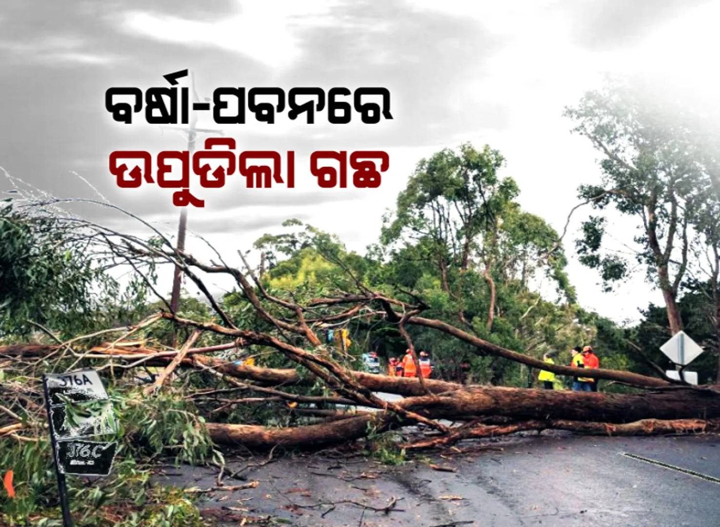 ପ୍ରାଇମ ଟାଇମ ବୁଲେଟିନ- ୨୫/୦୨/୨୦୨୦