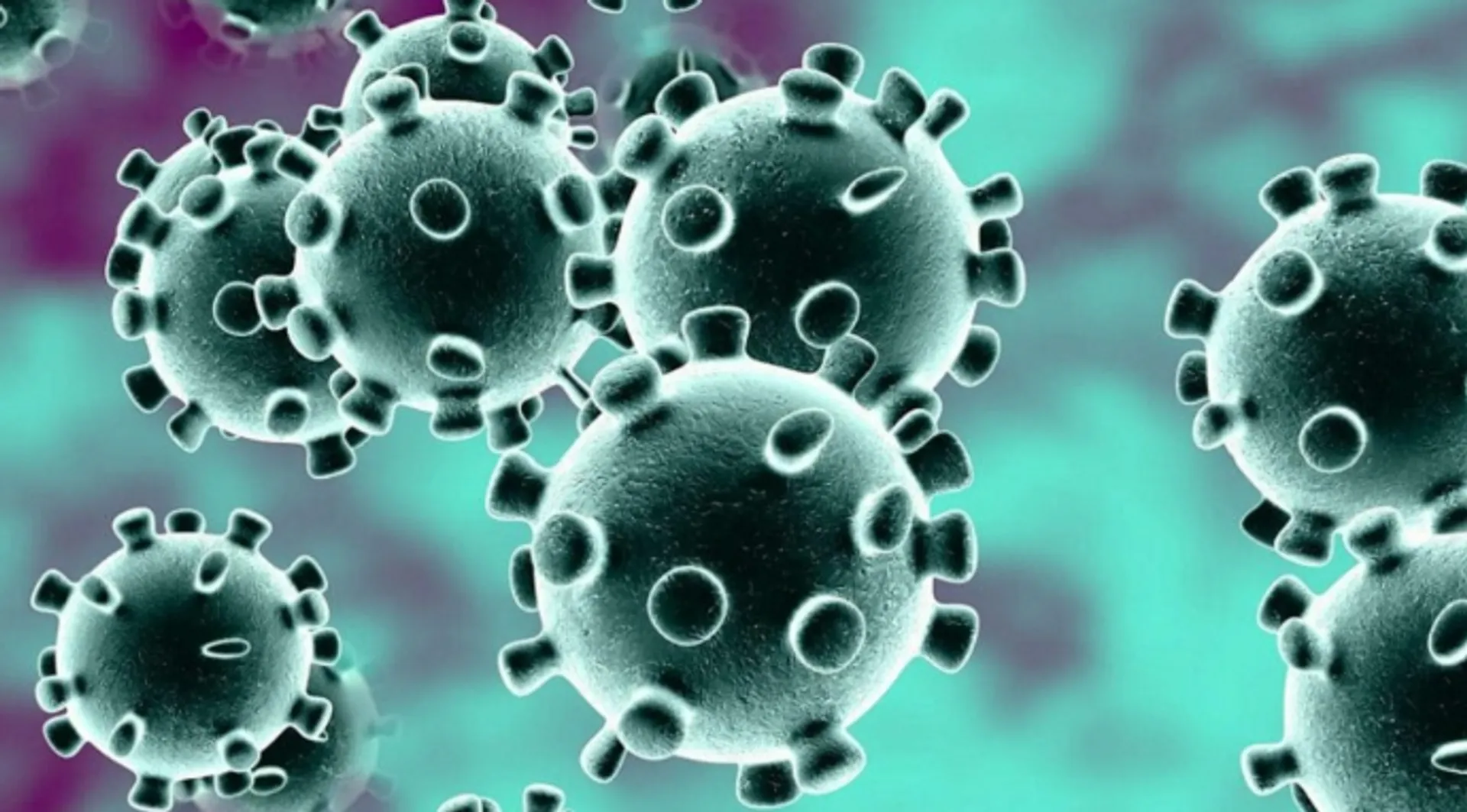 କରୋନା ପରୀକ୍ଷଣ : ଓଡ଼ିଶାରେ ଆଜି ପରୀକ୍ଷା ହୋଇଥିବା ୭ଟିରୁ ୭ ନମୁନା ନେଗେଟିଭ୍