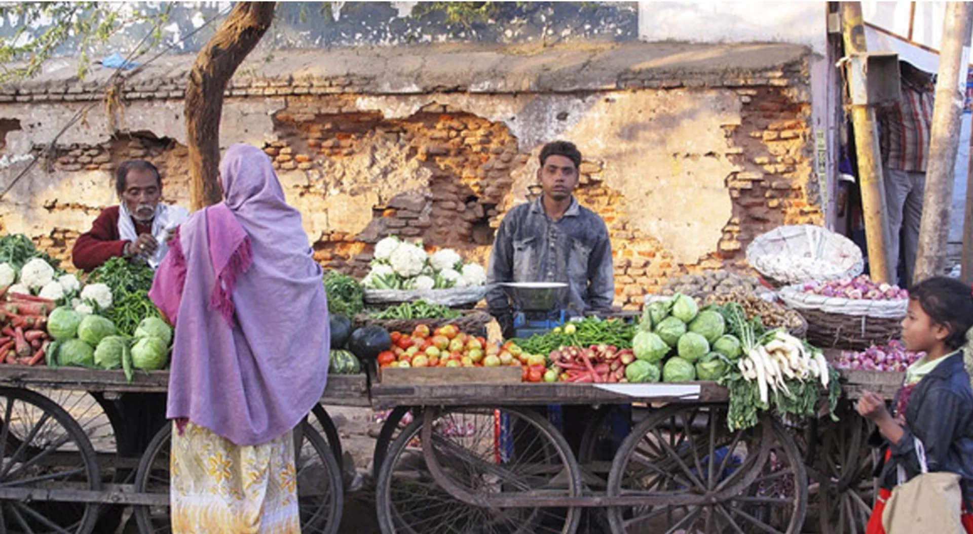 ବିଏମସି ଆରମ୍ଭ କରିବ ମୋବାଇଲ ଭେଣ୍ଡିଂ ସେବା : ଫୁଡ୍ ଭେଣ୍ଡର ଗୁଡିକୁ ପରିବା ଓ ଗ୍ରୋସରୀ ଭେଣ୍ଡରରେ ପରିଣତ କରାଯିବ, ପରିବା ଓ ଗ୍ରୋସରୀ ବ୍ୟବସାୟ କରିବେ ଷ୍ଟ୍ରିଟଫୁଡ୍ ବ୍ୟବସାୟୀ