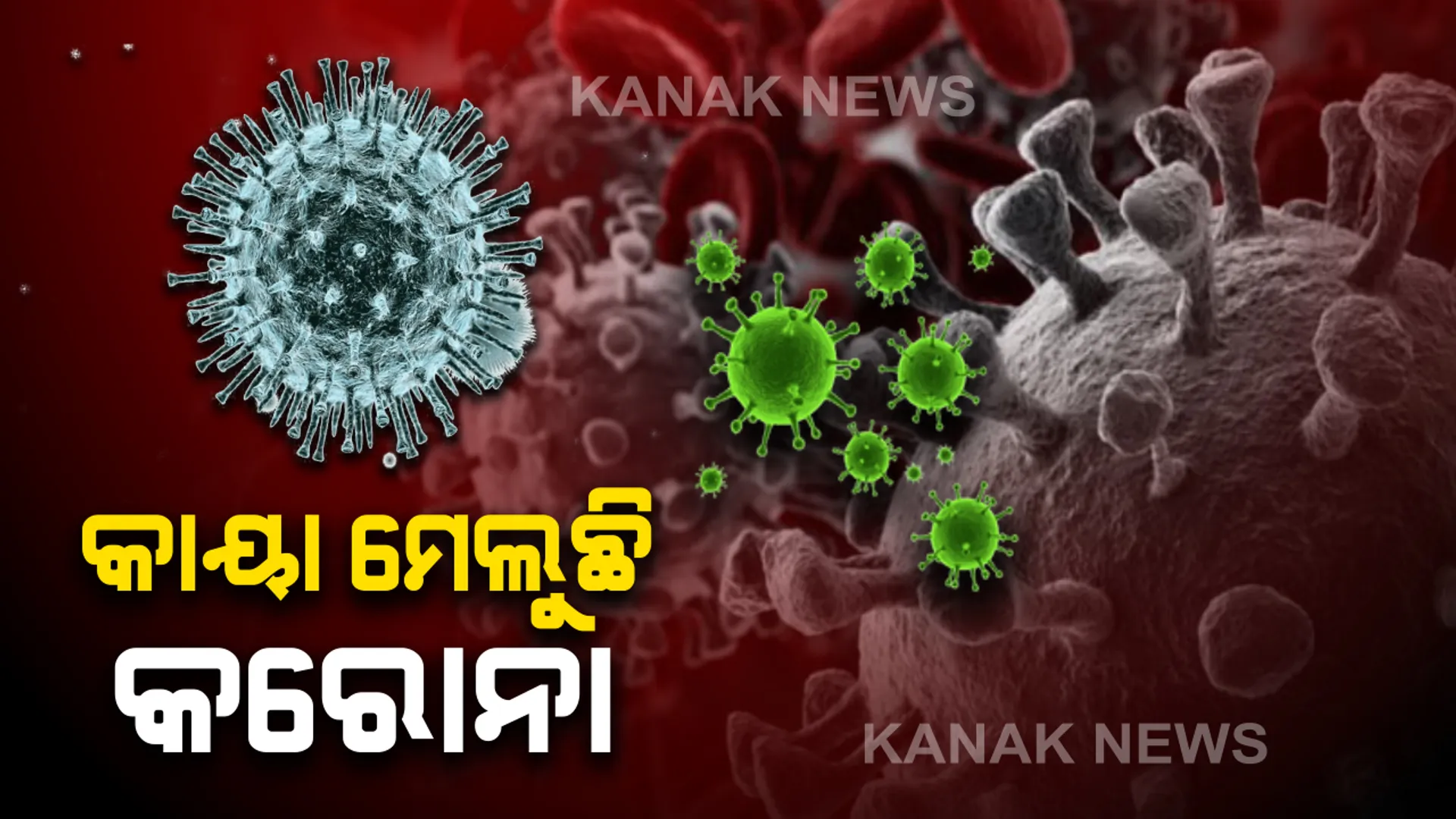 ଦେଶରେ ୭୭ ଛୁଇଁଲାଣି କରୋନା ମୃତକଙ୍କ ସଂଖ୍ୟା । ସେପଟେ ୩ ହଜାର ଟପିଲାଣି ଆକ୍ରାନ୍ତଙ୍କ ସଂଖ୍ୟା