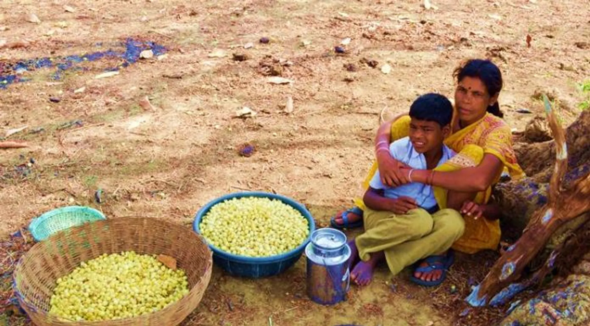 ତାଲାବନ୍ଦରେ ଶୋଷଣର ଶିକାର ହେଉଛନ୍ତି ଆଦିବାସୀ : ଚାଉଳ କେଜିଏକୁ ମହୁଲ କେଜିଏ ଦେଇ ସରଳ ବିଶ୍ୱାସୀ ଲୋକଙ୍କୁ ଠକୁଛନ୍ତି ଅସାଧୁ ବ୍ୟବସାୟୀ