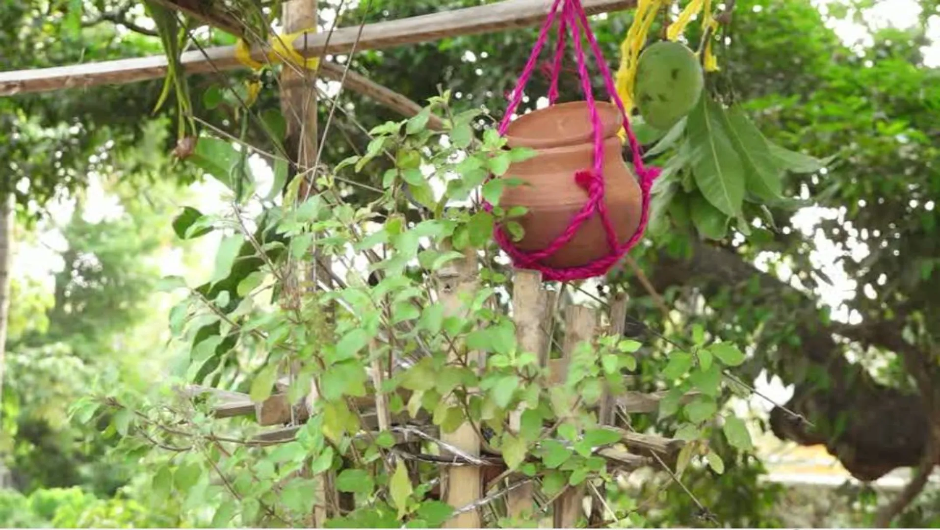 ଓଡିଆ ନବବର୍ଷ ଓ ପଣା ସଂକ୍ରାନ୍ତି ଉପଲକ୍ଷେ ମୁଖ୍ୟମନ୍ତ୍ରୀଙ୍କ ଶୁଭେଚ୍ଛା: ମହାପ୍ରଭୁଙ୍କ ମହିମାରୁ ପ୍ରତିଟି ଜୀବନ ସୁରକ୍ଷିତ ହେଉ; ସମସ୍ତଙ୍କୁ ଦୃଢତାର ସହ କରୋନା ମୁକାବିଲା ପାଇଁ ଶକ୍ତି ଦେଉ
