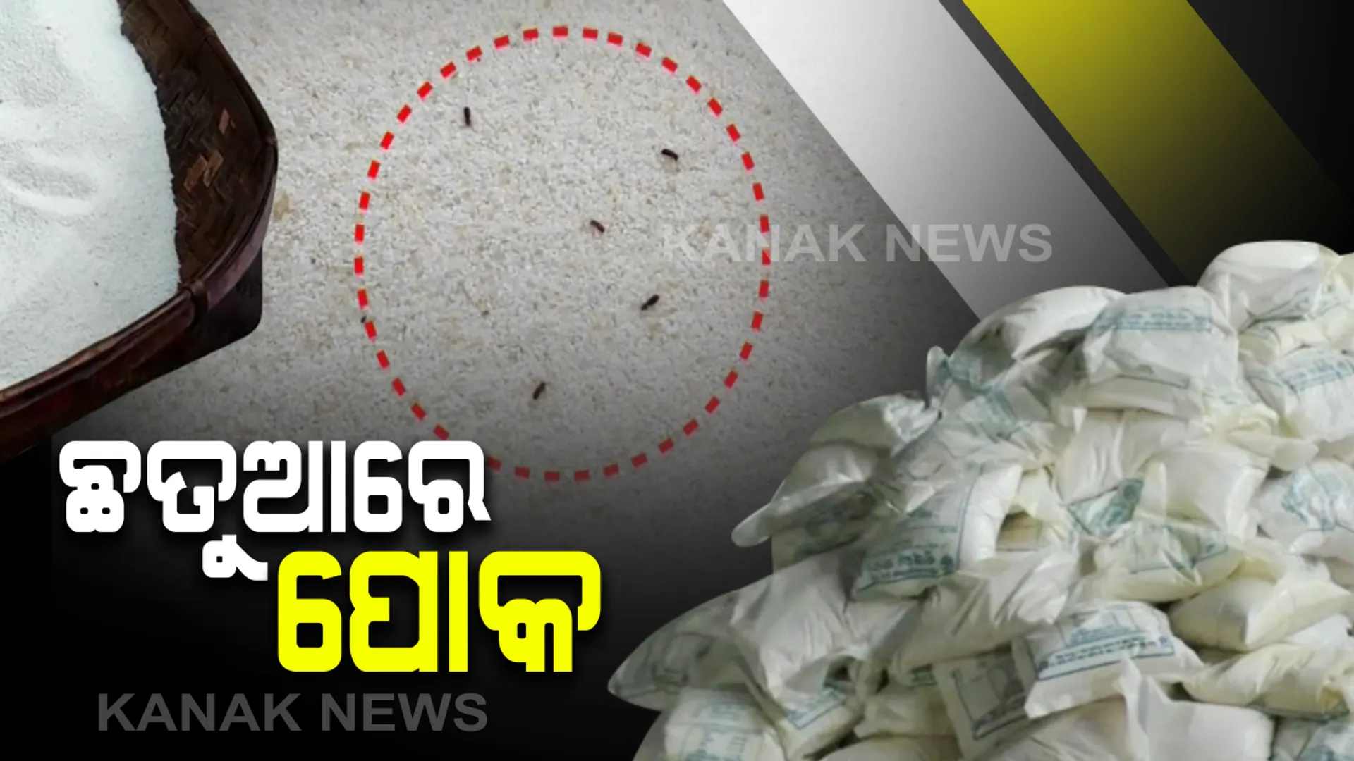 ଛତୁଆରେ ପୋକ: ଚିତ୍ରକୋଣ୍ଡା ସ୍ୱାଭିମାନ ଅଚଂଳରେ ସାମଗ୍ରୀ ଗ୍ରହଣ କଲେନି ପିଲାଙ୍କ ଅଭିଭାବକ; କ୍ୟାମେରା ଆଗରେ ମୁହଁ ଖୋଲୁନାହାନ୍ତି ସିଡିପିଓ