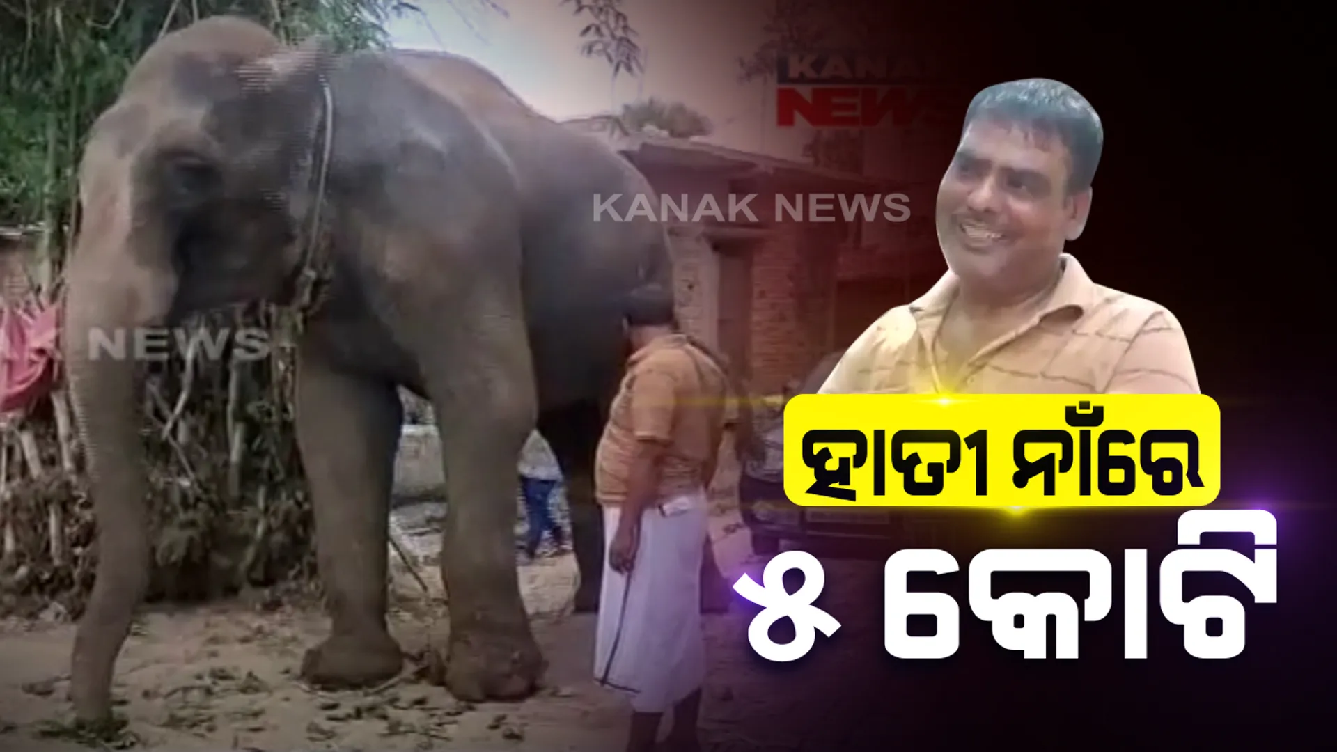 ହାତୀ ହେଲେ କୋଟିପତି । ବିହାରରେ ନିଜ ସମ୍ପତିର ଅଧା ନିଜ ପୋଷା ହାତୀ ନାଁରେ ଘୋଷଣା କଲା ମାଲିକ, ପାଟନାରୁ ଆସିଲା ଚମକାଇଲା ଭଳି ଖବର