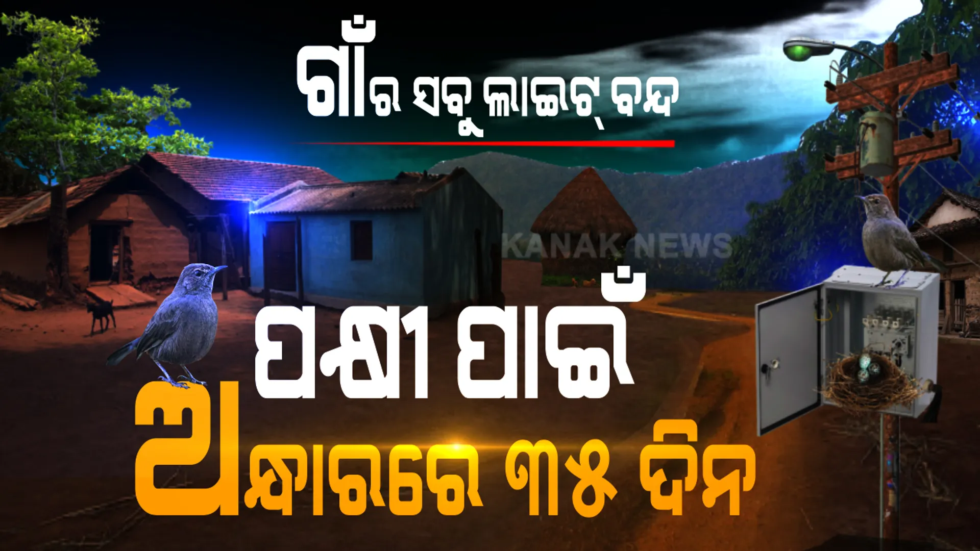 ଆମେ ଅନ୍ଧାରରେ ରହିବୁ ପଛେ ହେଲେ ଚଢେଇ ଛୁଆକୁ ଦୁନିଆର ଆଲୋକ ଦେଖାଇବୁ... ମହାମାରୀ ବେଳେ ମଣିଷ ଦେଖାଇଲା ମାନବିକତା । ପକ୍ଷୀ ପାଇଁ ୩୫ ଦିନ ଅନ୍ଧାରରେ ରହିଲା ପୂରା ଗାଁ । ଅଣ୍ଡା ଫୁଟିବା ପରେ ଚଢେଇ ମାଆ କହିଲା, ହେ ! ମଣିଷ ମୋ ଛୁଆ ପାଇଁ ତମେ ଅନ୍ଧାରରେ କେମିତି କାଟିଲ ଏତେ ଦିନ... ???