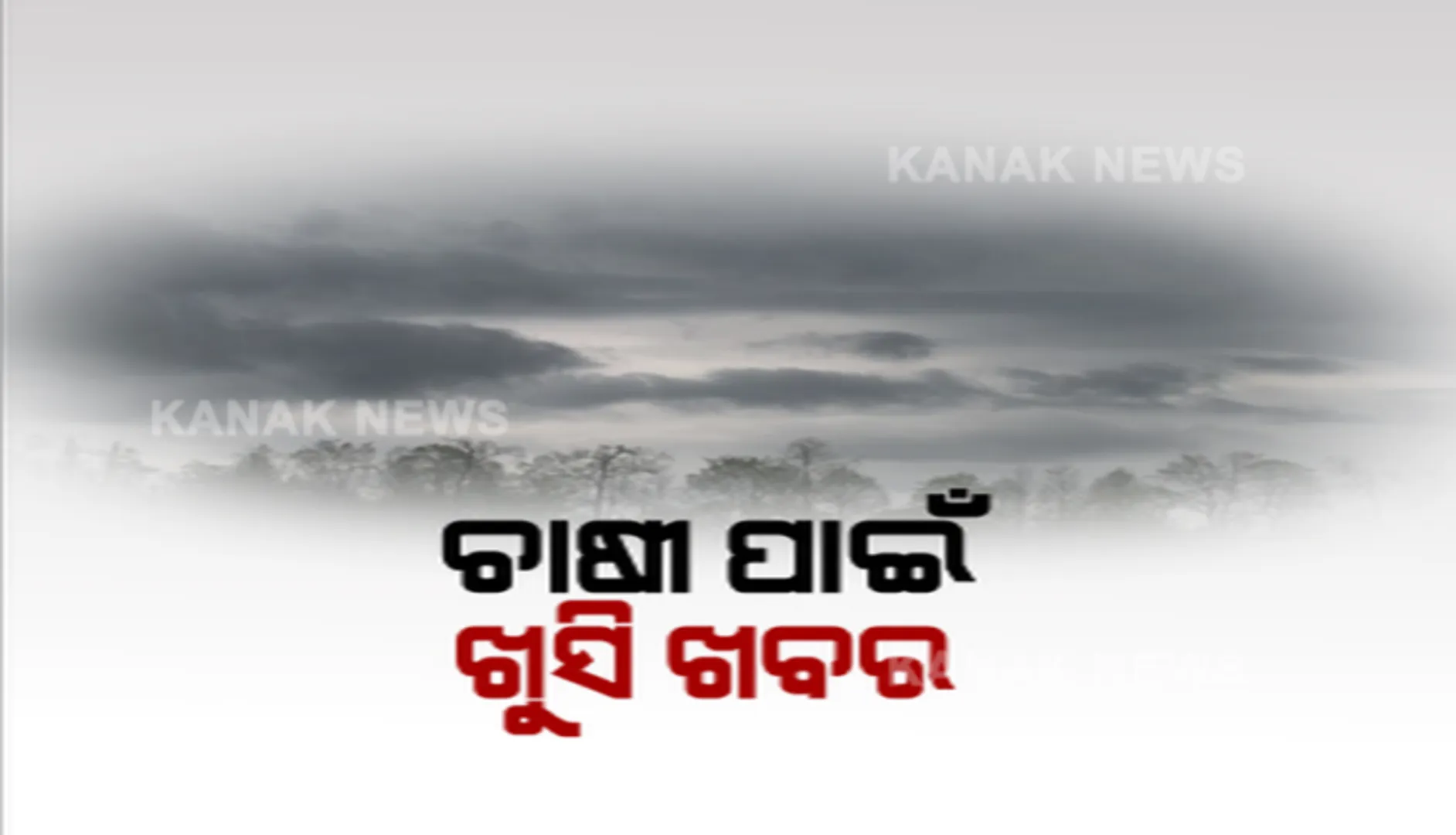 ଚାଷୀଙ୍କ ପାଇଁ ଖୁସି ଖବର । ୧୯୬ ବ୍ଲକରେ ୫୦ ମିମିରୁ ଅଧିକ ବର୍ଷା । ବର୍ଷା ଅଭାବ ନେଇ ଆଶଙ୍କା ନଥିବା କହିଲେ ରାଜସ୍ୱ ମନ୍ତ୍ରୀ । ଆଗକୁ ଆଉ ଏକ ଲଘୁଚାପ ଆସୁଥିବା ସୂଚନା