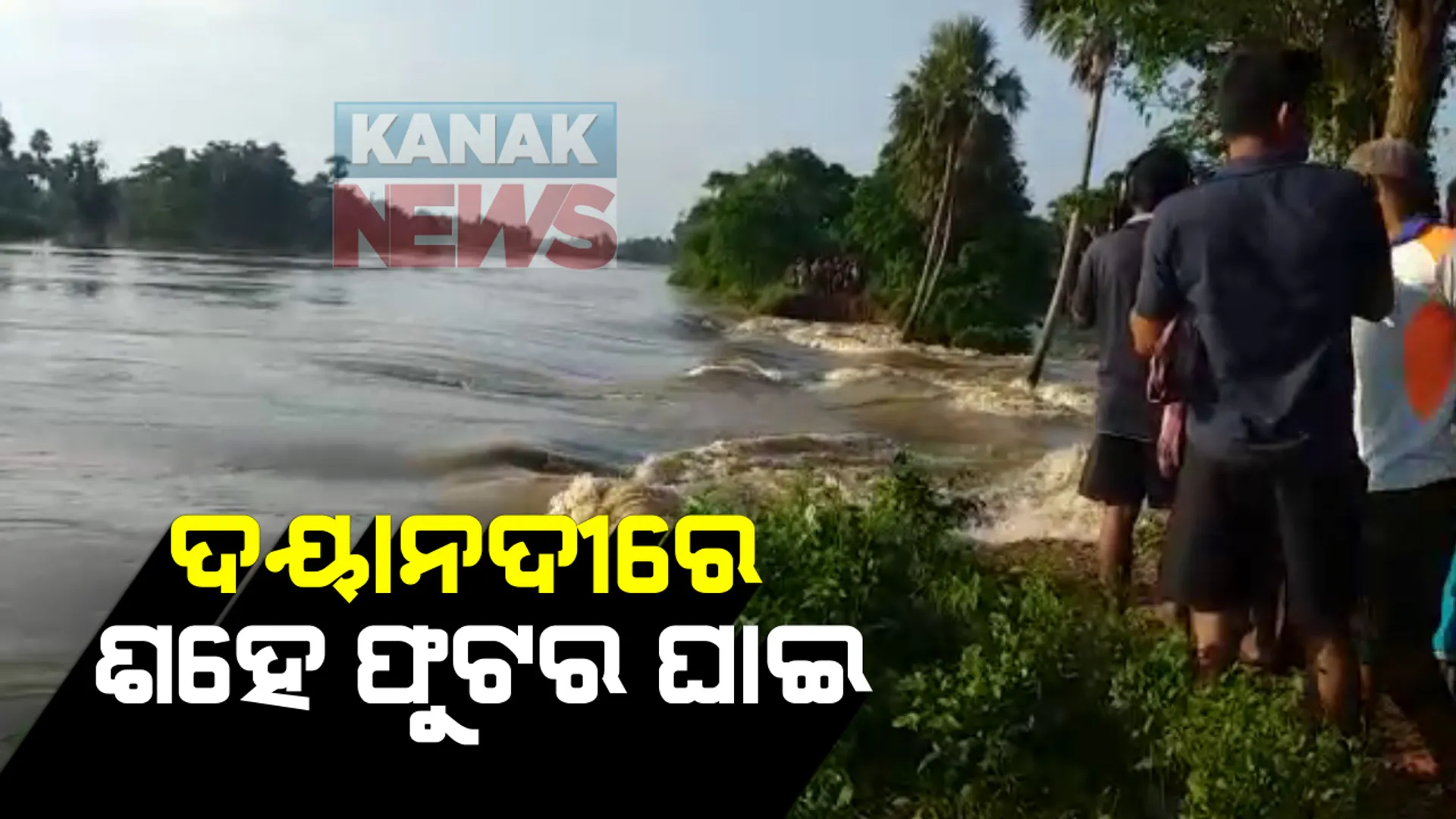 କଣାସ ବ୍ଲକ ମାଟିଆପଡା ଦୟା ନଦୀରେ ଶହେଫୁଟର ଘାଇ । ୨୦ରୁ ଅଧିକ ଗାଁ ଜଳବନ୍ଦୀ, ବାହ୍ୟଜଗତରୁ ବିଚ୍ଛିନ୍ନ : ଦେବୀ- ସେପଟେ ଫୁଲୁଛି ଦେବୀନଦୀ, ଅସ୍ତରଙ୍ଗର ଅନେକ ଅଂଚଳରେ ପଶିଲା ପାଣି