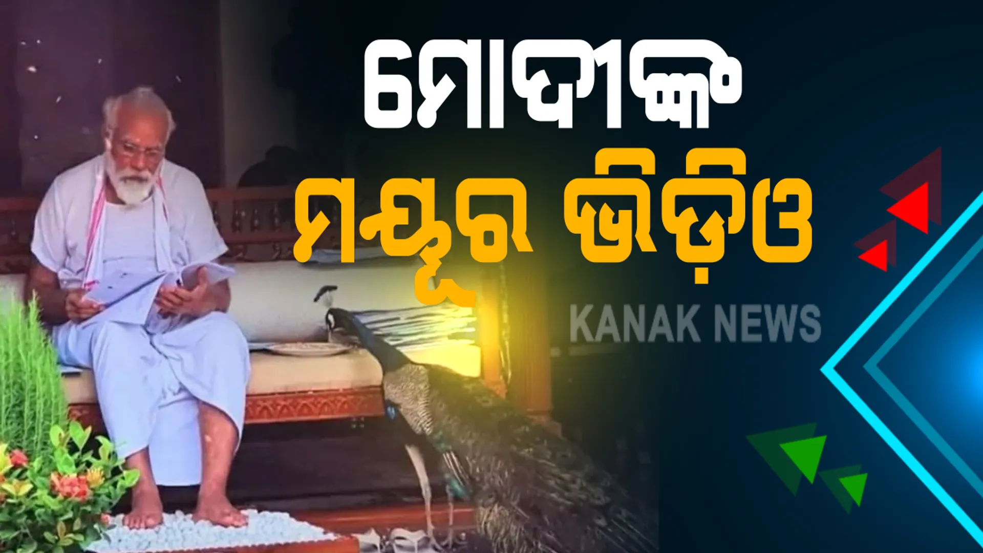 ସୋସିଆଲ ମିଡ଼ିଆରେ ଛାଇଗଲା ମୋଦୀଙ୍କ ମୟୂର ଭିଡ଼ିଓ । ପ୍ରଧାନମନ୍ତ୍ରୀ ବାସଭବନରେ ମୟୂର ସହ ବୁଲିଲେ ମୋଦୀ :  ଦାନା ଖୁଆଇଲେ, କବିତା ଲେଖି ସୋସିଆଲ ମିଡ଼ିଆରେ ପୋଷ୍ଟ କଲେ