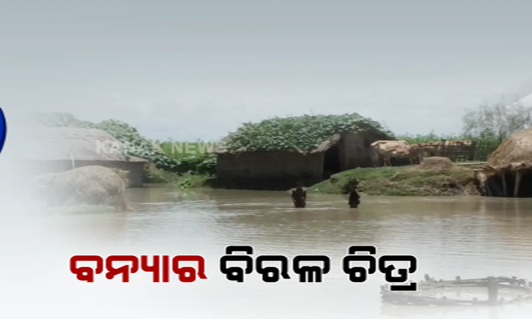 କଲବଲ କରୁଛି ବନ୍ୟା । ପୂର୍ଣ୍ଣମୀ ପାଇଁ ସମୁଦ୍ରରେ ବନ୍ୟାଜଳ ପହଂଚିବା ହେଉଛି ଡେରି, ସେପଟେ ବନ୍ୟା ନେଲାଣି ୧୭ ଜୀବନ