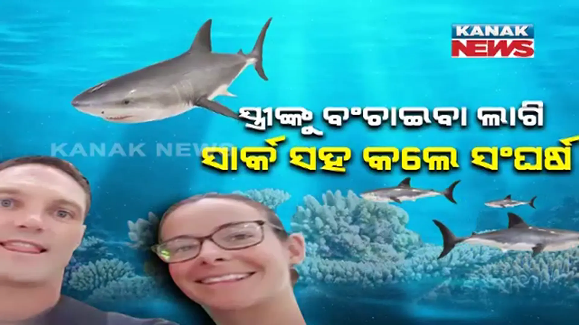 ସମୁଦ୍ର ମଝିରେ ବିଶାଳକାୟ ସାର୍କ ମୁହଁରେ ପଡ଼ିଲେ ପତ୍ନୀ : ନିଜ ଜୀବନକୁ ଖାତିର ନକରି ସାର୍କ ସହ ସଂଘର୍ଷ କଲେ , ମରଣ ମୁହଁରୁ ପ୍ରାଣପ୍ରିୟାଙ୍କୁ ବଂଚାଇଆଣିଲେ ସ୍ୱାମୀ