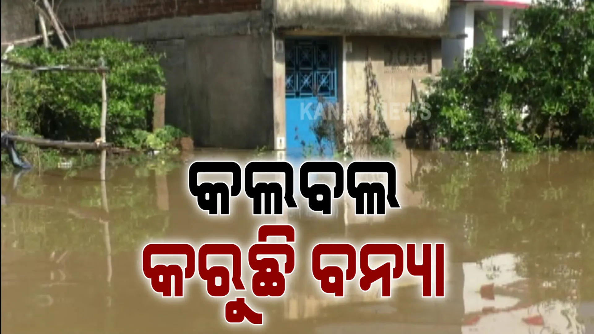 ଦୁଃଖ ଆଣିଦେଲା ବନ୍ୟା । ଅନେକ ସ୍ଥାନରେ ଜମିରହିଛି ୧୦ ଫୁଟ ଉଚ୍ଚର ପାଣି, ଛାତ ଉପରେ ଭୋକ ଉପାସରେ ପଡିରହିଛନ୍ତି ଲୋକ