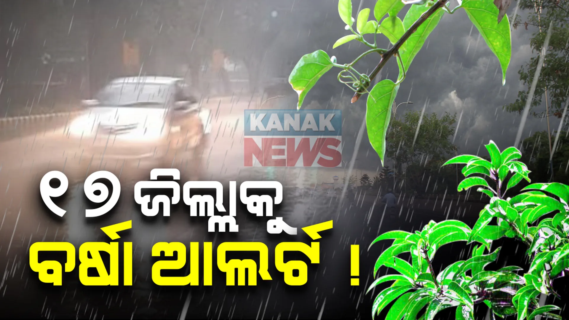 ଆଜିଠୁ କମିବ ବର୍ଷା! ରାଜ୍ୟର ୧୭ ଜିଲ୍ଲାରେ ଘଡଘଡି, ବଜ୍ରପାତ ସହ ସ୍ୱଳ୍ପରୁ ମଧ୍ୟମ ଧରଣର ବର୍ଷା ସମ୍ଭାବନା