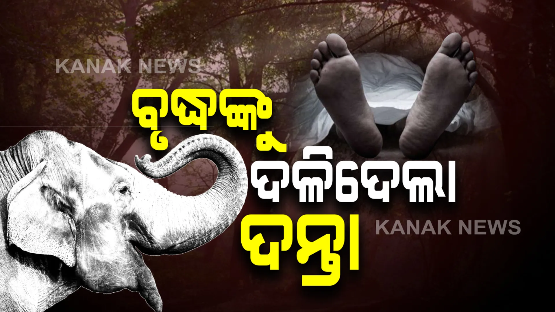 ଆଠଗଡ ଖୁଣ୍ଟୁଣି ରେଞ୍ଜ ରାଉଳସାହିରେ ଅଭାବନୀୟ ଘଟଣା : ଘର ବାରଣ୍ଡାରେ ବସିଥିବା ବେଳେ ବୃଦ୍ଧଙ୍କୁ ଦଳିଦେଲା ଦନ୍ତା