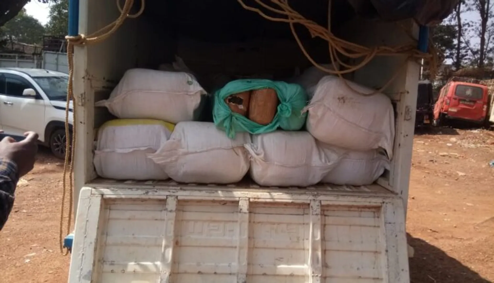 ପୁଣି କୋରାପୁଟ ଜିଲ୍ଲାରୁ ବିପୁଳ ପରିମାଣର ଗଞ୍ଜେଇ ଜବତ :  ଜବତ ଗଞ୍ଜେଇର ଆନୁମାନିକ ମୂଲ୍ୟ ୧୮ ଲକ୍ଷରୁ ଉର୍ଦ୍ଧ୍ବ ହେବ