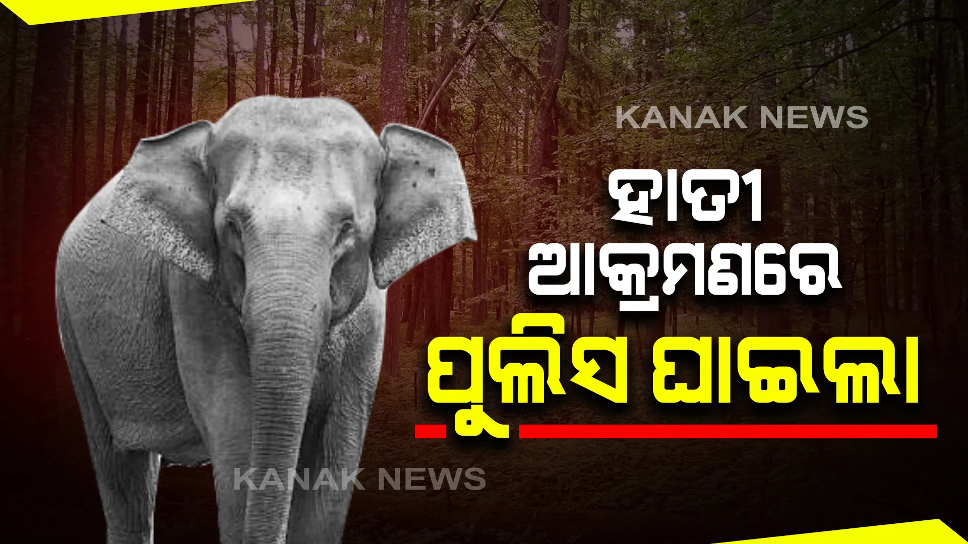 ପୁଲିସ ବାବୁଙ୍କୁ ମରଣାନ୍ତକ ଆକ୍ରମଣ କଲା ଦନ୍ତା : ଢେଙ୍କାନାଳ ଜିଲ୍ଲା ତୁମୁସିଙ୍ଗା ଥାନା କର୍ମଚାରୀ ହୃଷିକେଶ ନାୟକ ଗୁରୁତର