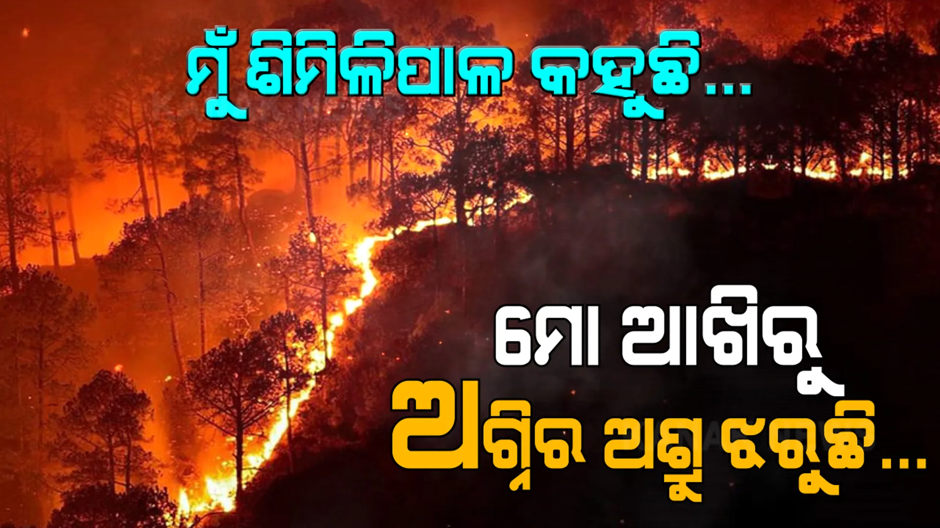 ଆଉ କେତେ ଜୀବନ ଦେଇ ଜଳିବି? ହଜାର ହଜାର କିଲୋମିଟର ଲମ୍ବିଥିବା ମୋ ବାହୁରେ ବାରୁଦ ଭଳି ନିଆଁ ବ୍ୟାପିଛି । ହୃଦୟରେ ଲାଗିଥିବା ନିଆଁ ଏବେ ବି ହୁତହୁତ ହୋଇ ଜଳୁଛି, ମୁଁ ଶିମିଳିପାଳ କହୁଛି...