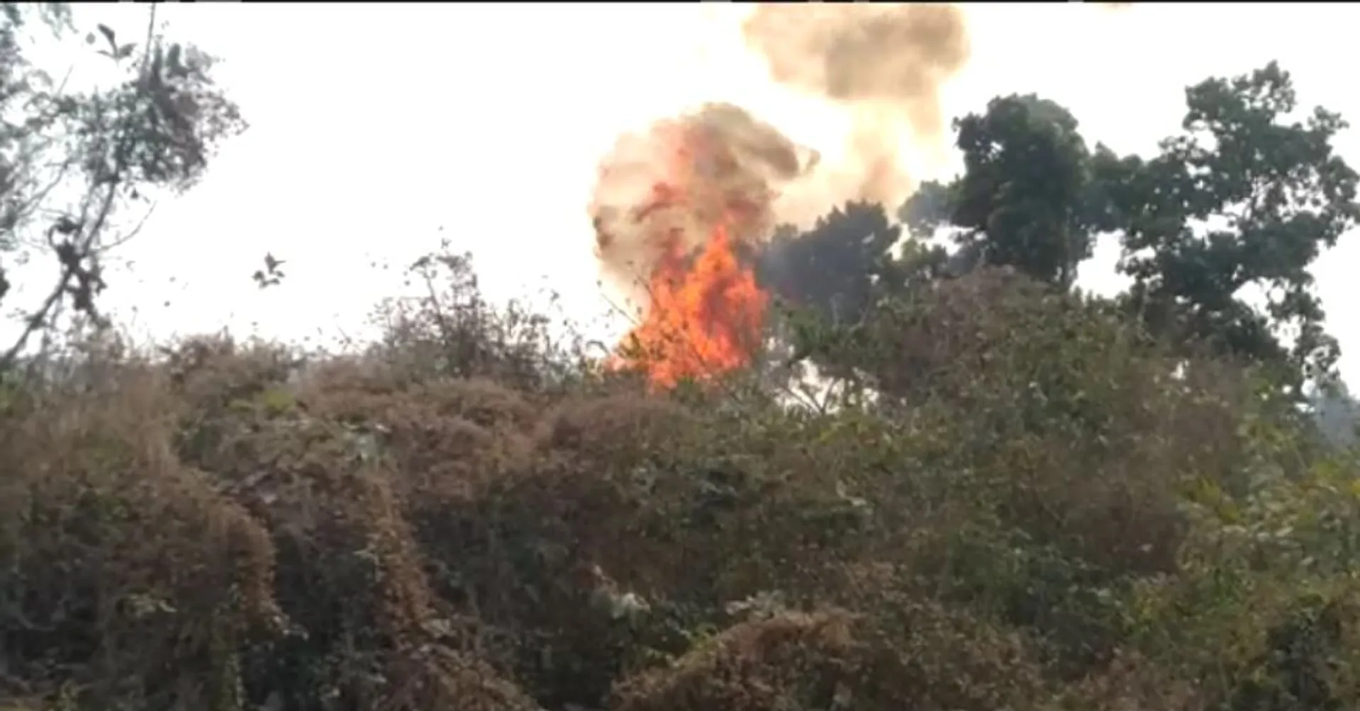 ଖୋର୍ଦ୍ଧା ବରୁଣେଇ ପାହାଡ ସଂଲଗ୍ନ ଜଙ୍ଗଲରେ ନିଆଁ । ଘଟଣା ସ୍ଥଳରେ ପହଞ୍ଚି ନିଆଁ ଲିଭାଉଛି ଅଗ୍ନିଶମ ବାହିନୀ ।