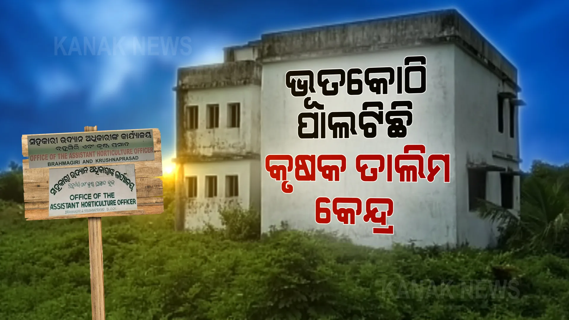 ଭୂତକୋଠି ପାଲଟିଛି କୃଷକ ତାଲିମ କେନ୍ଦ୍ର । କୋଠା ପାଖକୁ ଯିବାକୁ ନାହିଁ ରାସ୍ତା, ଅନାବନା ଗଛରେ ଜଙ୍ଗଲ ପାଲଟିଗଲାଣି ୫୦ ଲକ୍ଷ ଟଙ୍କାରେ ତିଆରି ହୋଇଥିବା କୋଠା ।