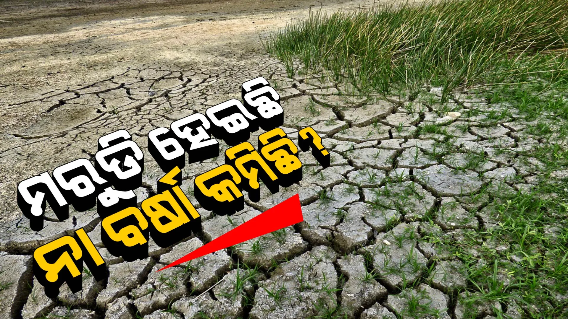 ରାଜ୍ୟର ମରୁଡି ସ୍ଥିତି ନେଇ ବିଧାନସଭାରେ ହଙ୍ଗାମା । ବିରୋଧୀ କହିଲେ ୨୭ଜିଲ୍ଲାରେ ପ୍ରଭାବିତ । ଉତ୍ତରରେ କୃଷି ମନ୍ତ୍ରୀ ସ୍ପଷ୍ଟ କଲେ ନାହିଁ, କେତେ ଜିଲ୍ଲାରେ ହୋଇଛି ମରୁଡି ।