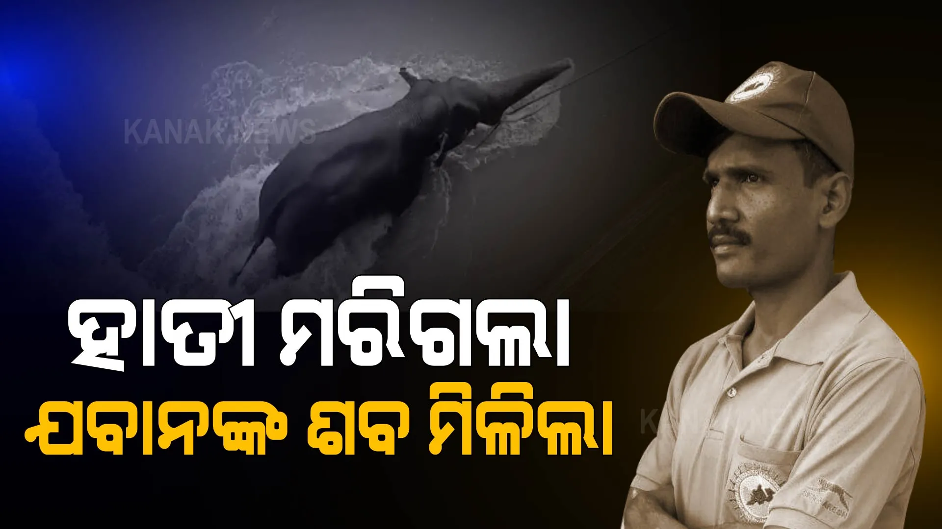 ନା ହାତୀ ବଞ୍ଚିଲା, ନା ବଞ୍ଚିଲା ଓଡ୍ରାଫ୍ ଯବାନଙ୍କ ଜୀବନ । ମୁଣ୍ଡଳି ଗଜ ଅପରେସନରେ ମିଳିଲା କ’ଣ ?