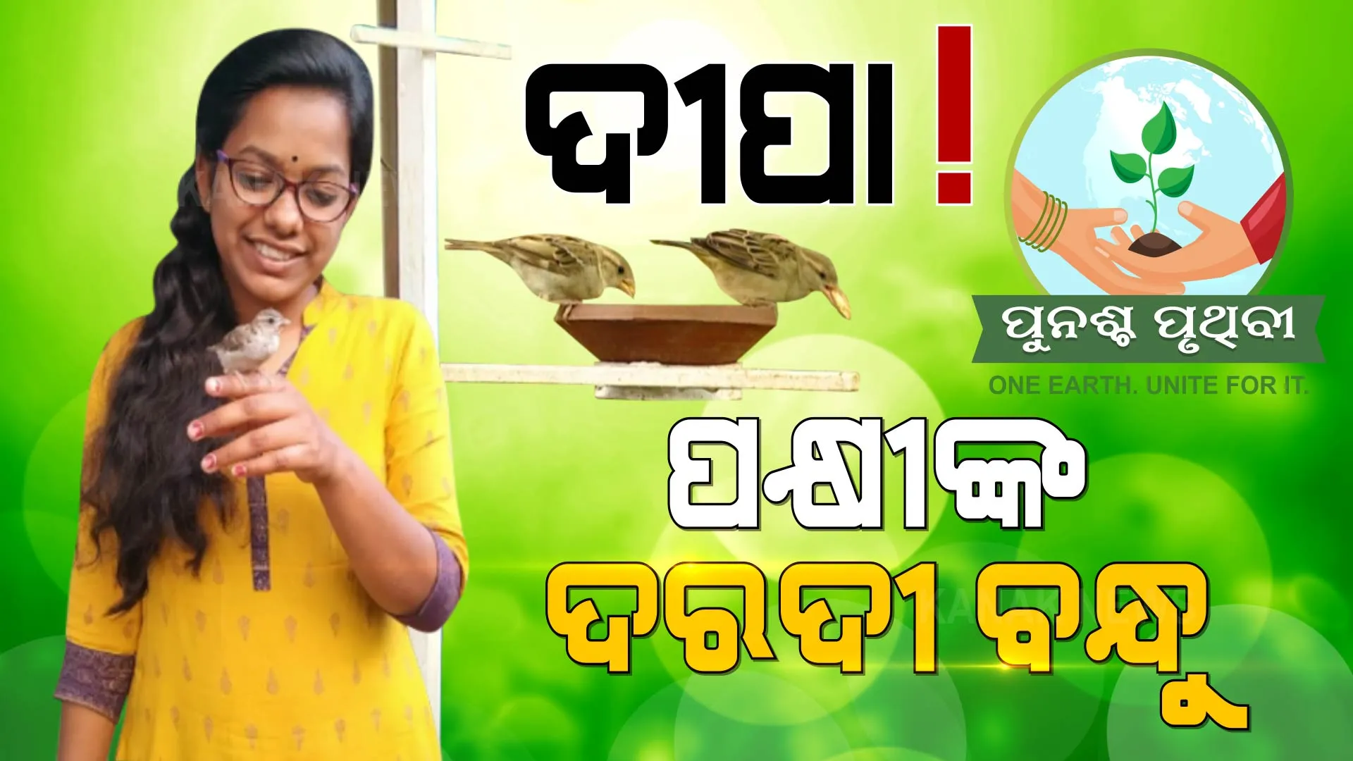 ପକ୍ଷୀଙ୍କ ଦରଦୀ ବନ୍ଧୁ ଦୀପା । ଗାଁ ଗାଁ ବୁଲି ବସା ବାନ୍ଧୁଛନ୍ତି, ଘରଚଟିଆ ସଂରକ୍ଷଣ ଅଭିଯାନ ଚଳାଇଛନ୍ତି...