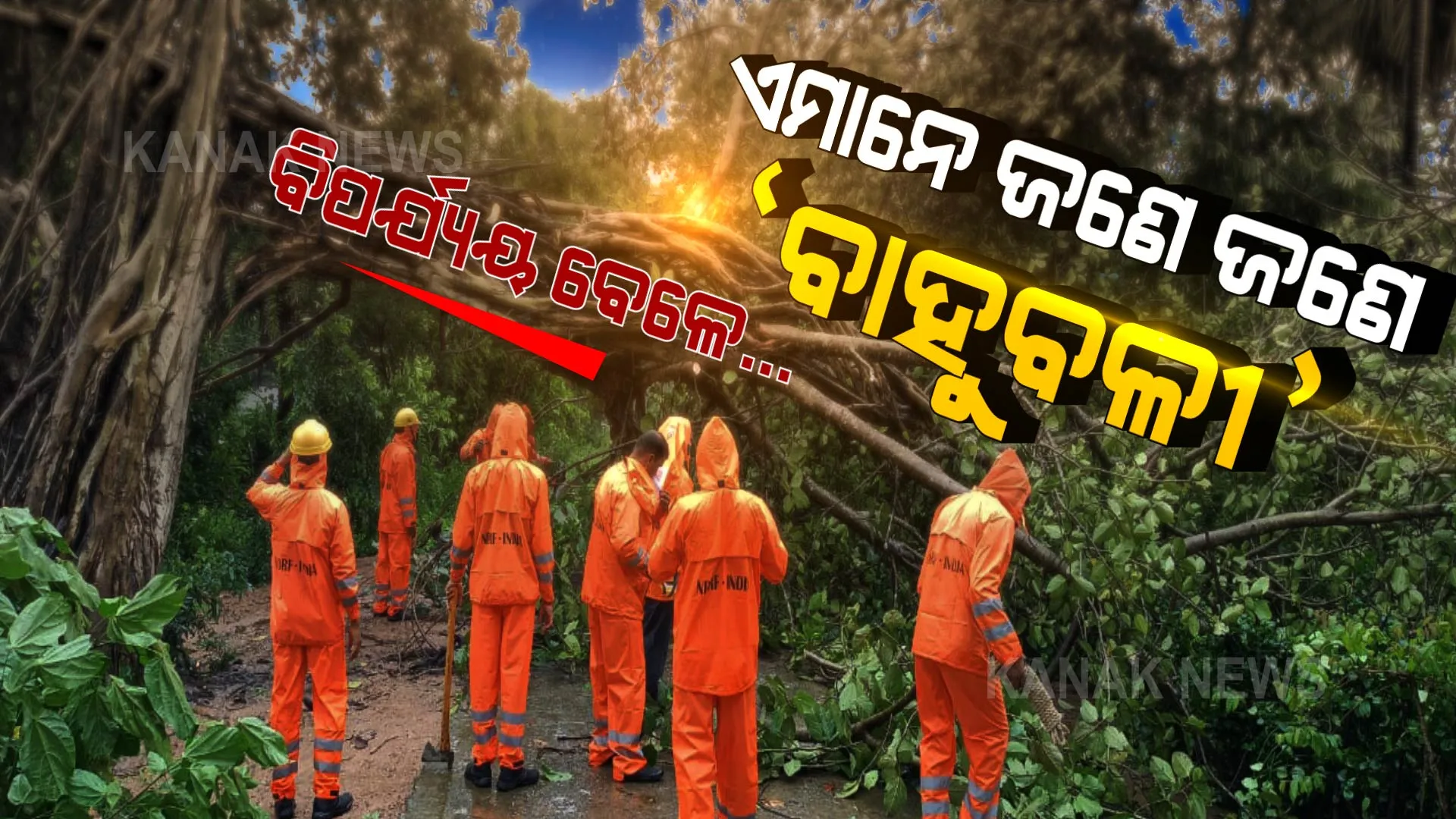 ଏମାନେ ଥିଲେ ଡରାଇ ପାରେନି ବନ୍ୟା, ବାତ୍ୟା... ପ୍ରଣାମ ବିପର୍ଯ୍ୟୟ ବେଳର ବାହୁବଳୀ