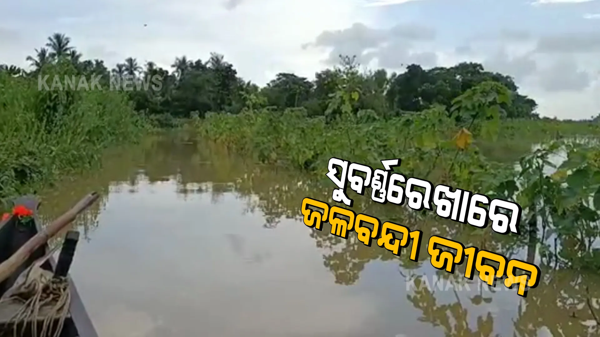 ବର୍ଷା ଦିନେ ଜଳବନ୍ଦୀ ଜୀବନ ଜିଉଁଛନ୍ତି ପାଳଚମ୍ପେଇ ଗାଁର ୫୦ ପରିବାର । ରାସ୍ତା ନଥିବାରୁ ଦେଶୀ ଡଙ୍ଗା ଭରସା ।