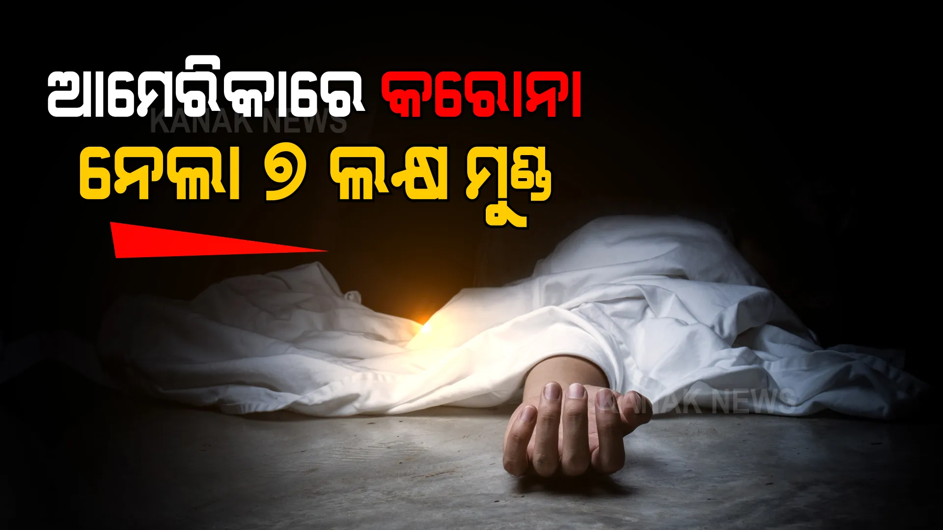 ଆମେରିକାରେ କରୋନା ନେଲାଣି ୭ ଲକ୍ଷ ଜୀବନ । ୩ ମାସରେ ଗଡିଲାଣି ଏକ ଲକ୍ଷରୁ ଅଧିକ ମୁଣ୍ଡ ।