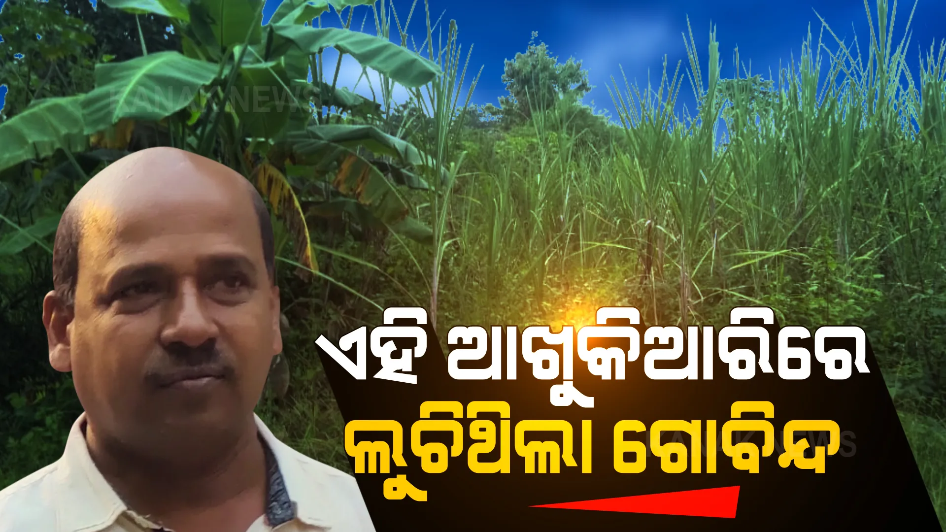 ଆଖୁକିଆରିରୁ ଗିରଫ ହେଲା ଗୋବିନ୍ଦ ସାହୁ । ସାମ୍ନାକୁ ଆସିବ ମମିତା ମେହେର ମୃତ୍ୟୁ ମାମଲାର ସବୁ ସତ ।