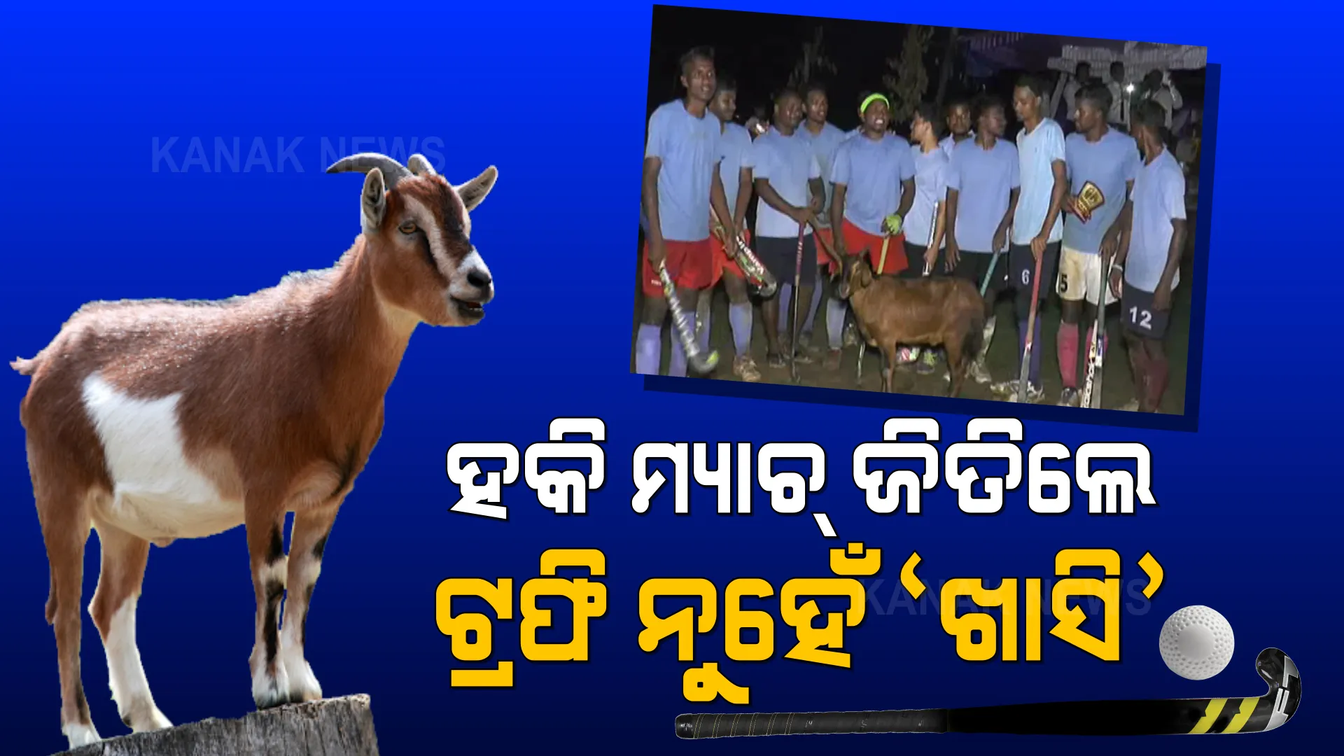 ଖେଳ ଜିତ, ଖାସି ଖାଅ... ହକି ମ୍ୟାଚ୍ ଜିତିଲେ ଟ୍ରଫି ନୁହେଁ, ମିଳୁଛି ଛେଳି ।