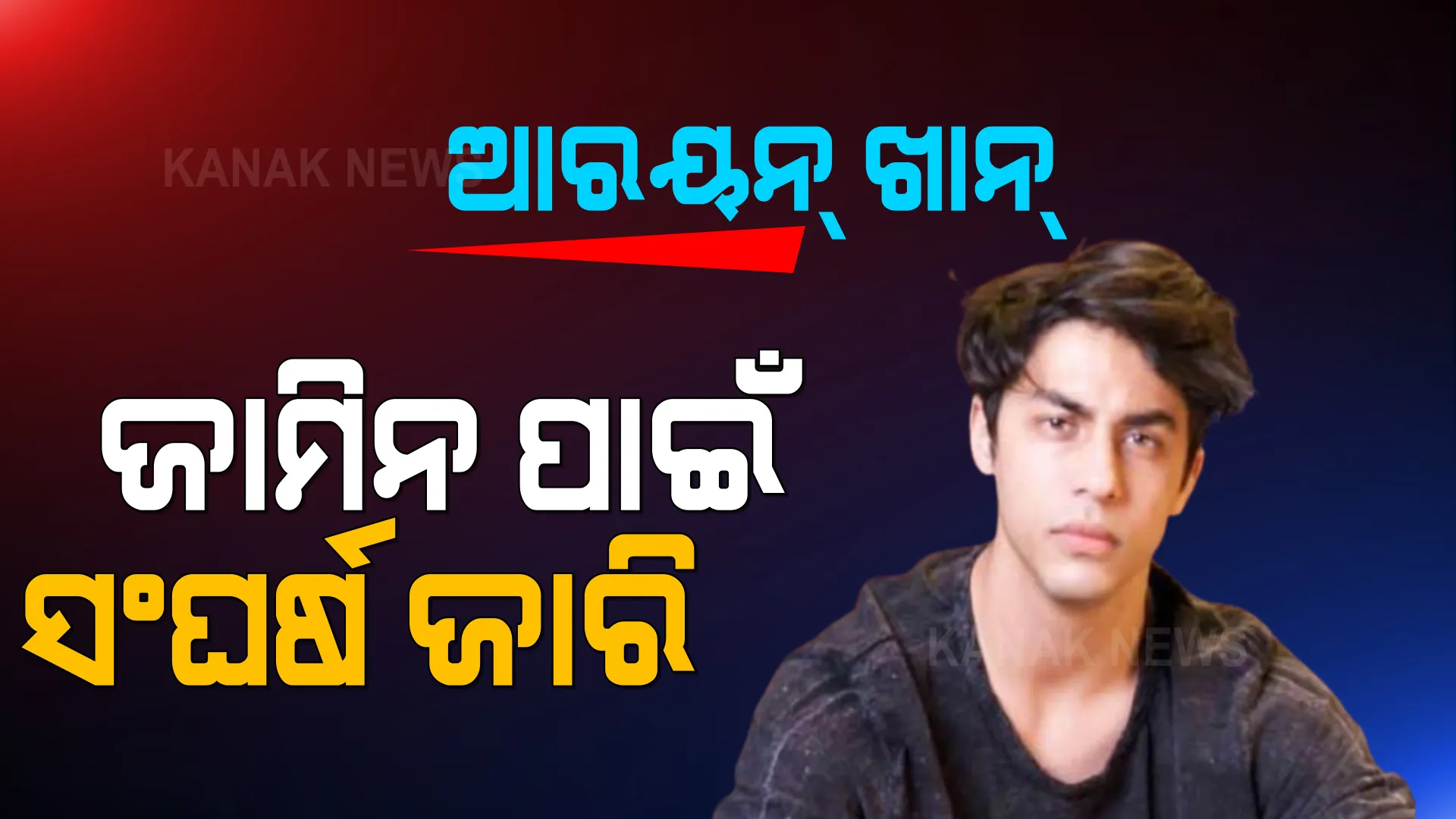 ଶାହାରୁଖଙ୍କ ପୁଅ ଆରୟନ ଖାନଙ୍କୁ ମିଳୁନି ବେଲ୍ । କାଲିକୁ ଘୁଞ୍ଚିଲା ଜାମିନ ଆବେଦନର ଶୁଣାଣି । 