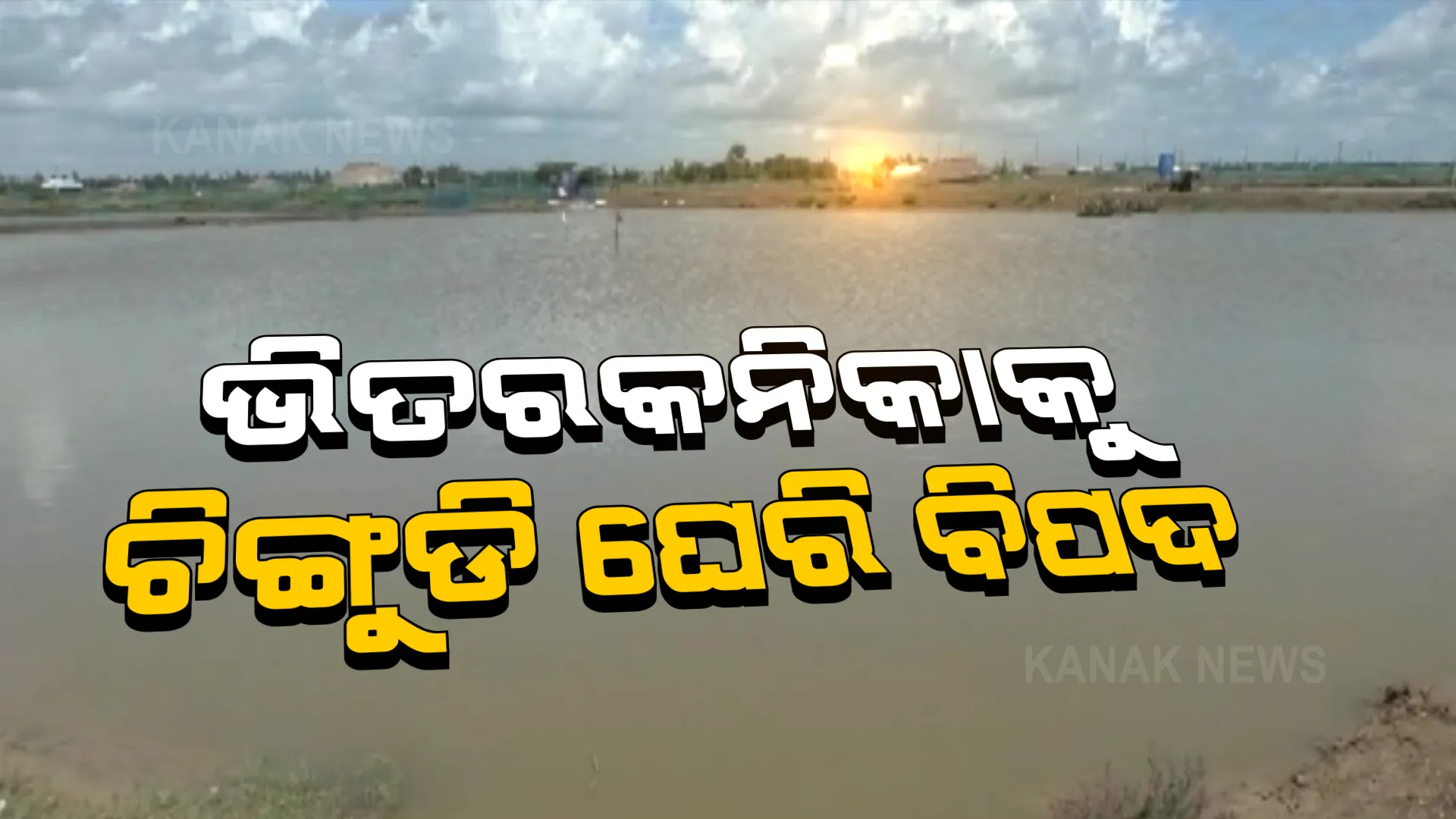ଜାତୀୟ ଉଦ୍ୟାନ ପାଇଁ ବିପଦ ବଢାଉଛି ବେଆଇନ୍ ଚିଙ୍ଗୁଡି ଘେରୀ । ନାମକୁ ମାତ୍ର କେଇ ହାତ ଘେରି ବନ୍ଧ ଭାଙ୍ଗିଛି ବନବିଭାଗ ।