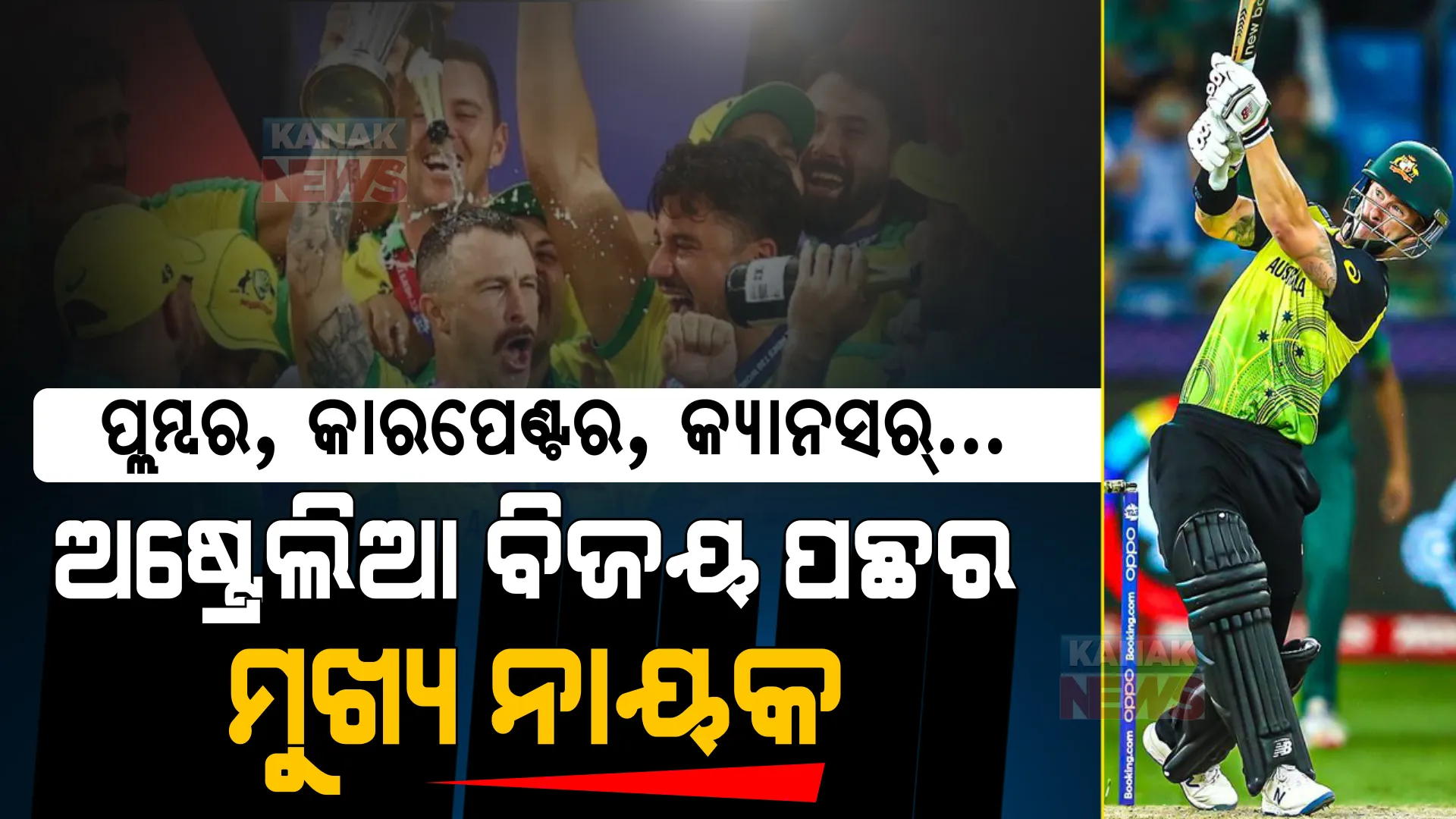 ପ୍ଲମ୍ବର, କାରପେଣ୍ଟର, କ୍ୟାନସର୍...ମୃତ୍ୟୁ ସହ ଲଢି ବିଜୟୀ ହୋଇଥିବା ଏହି ଖେଳାଳୀ ଅଷ୍ଟ୍ରେଲିଆକୁ ବନାଇଲେ ବିଶ୍ୱ ବିଜେତା ।