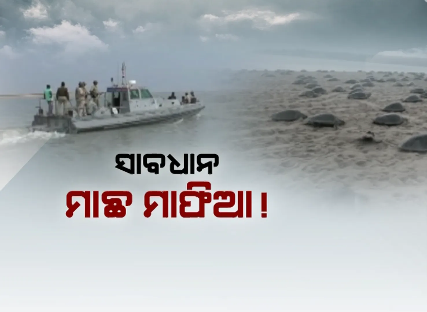 ସାବଧାନ ମାଛ ମାଫିଆ ! ମଝି ସମୁଦ୍ରରେ ପଇଁତରା ମାରୁଛି ମେରାଇନ୍ ପୁଲିସ ।