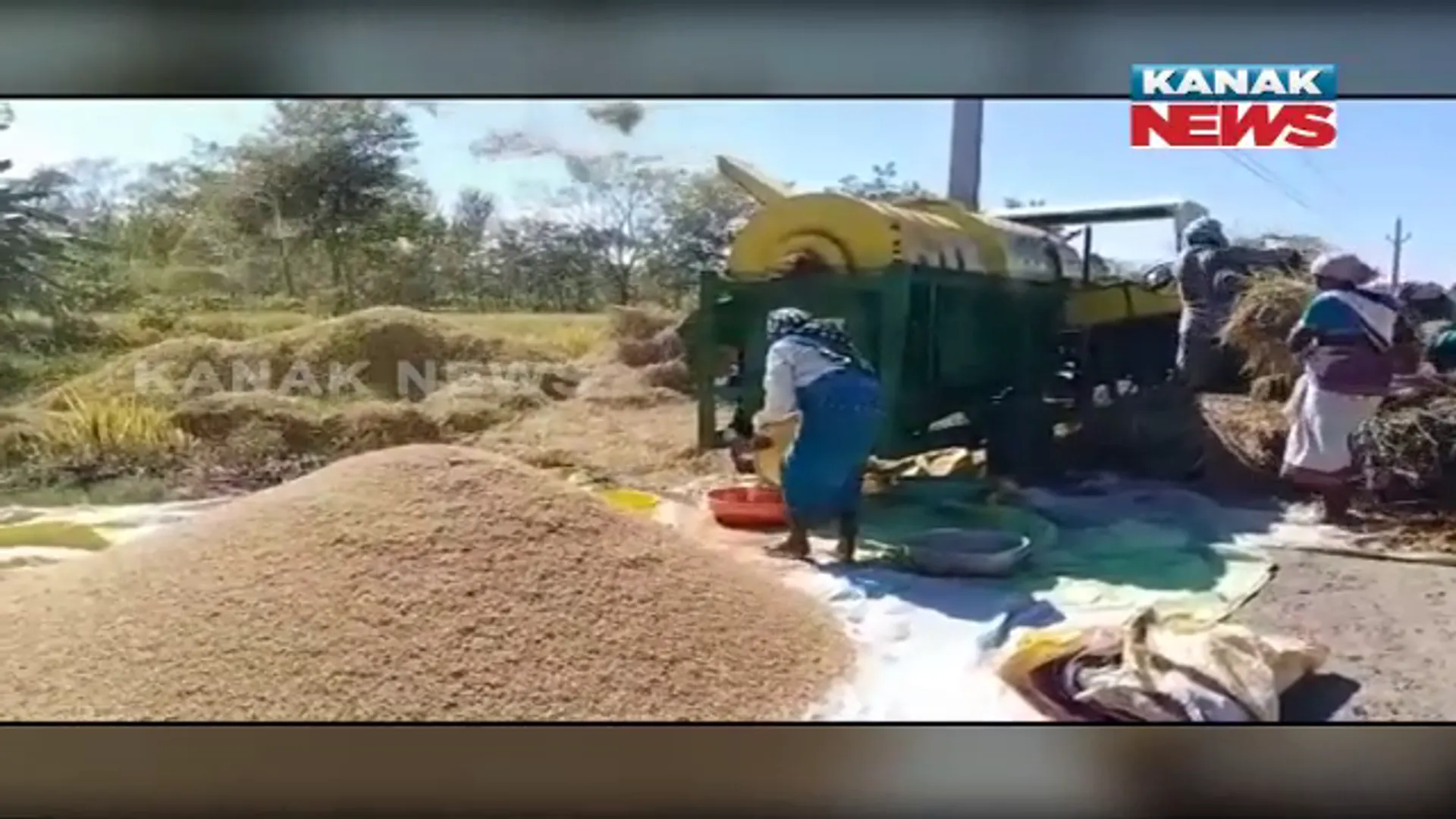 ଧାନ ଅମଳ ହେଲାଣି ହେଲେ ସରକାରୀ ମଣ୍ଡି ଖୋଲିନି । ଧାନ ଅମଳ କରି ଖଳାରେ ରଖିଛନ୍ତି ଚାଷୀ, କମ ଦରରେ କିଣି ନେଉଛନ୍ତି ଦଲାଲ ।