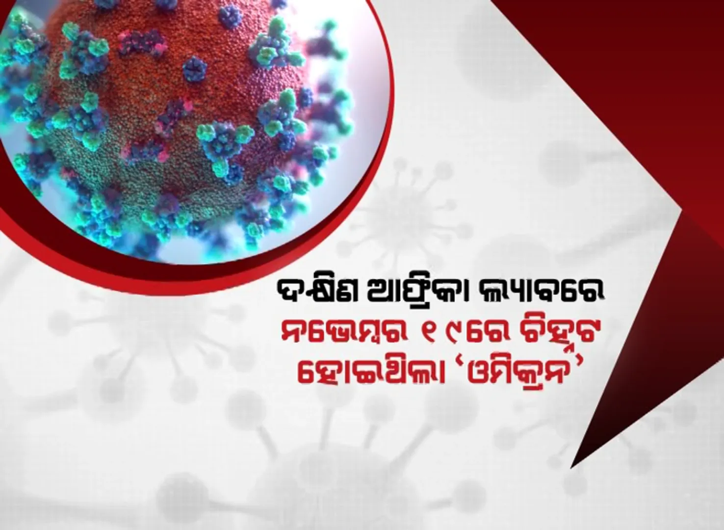 ପ୍ରଥମେ କେବେ, କେଉଁଠି ଚିହ୍ନଟ ହୋଇଥିଲା ‘ଓମିକ୍ରନ’ ଭୂତାଣୁ ? ନୂଆ ପ୍ରଜାତି ଚିହ୍ନଟ ବେଳେ ଆତଙ୍କିତ ହୋଇପଡିଥିଲେ ବୈଜ୍ଞାନିକ ।