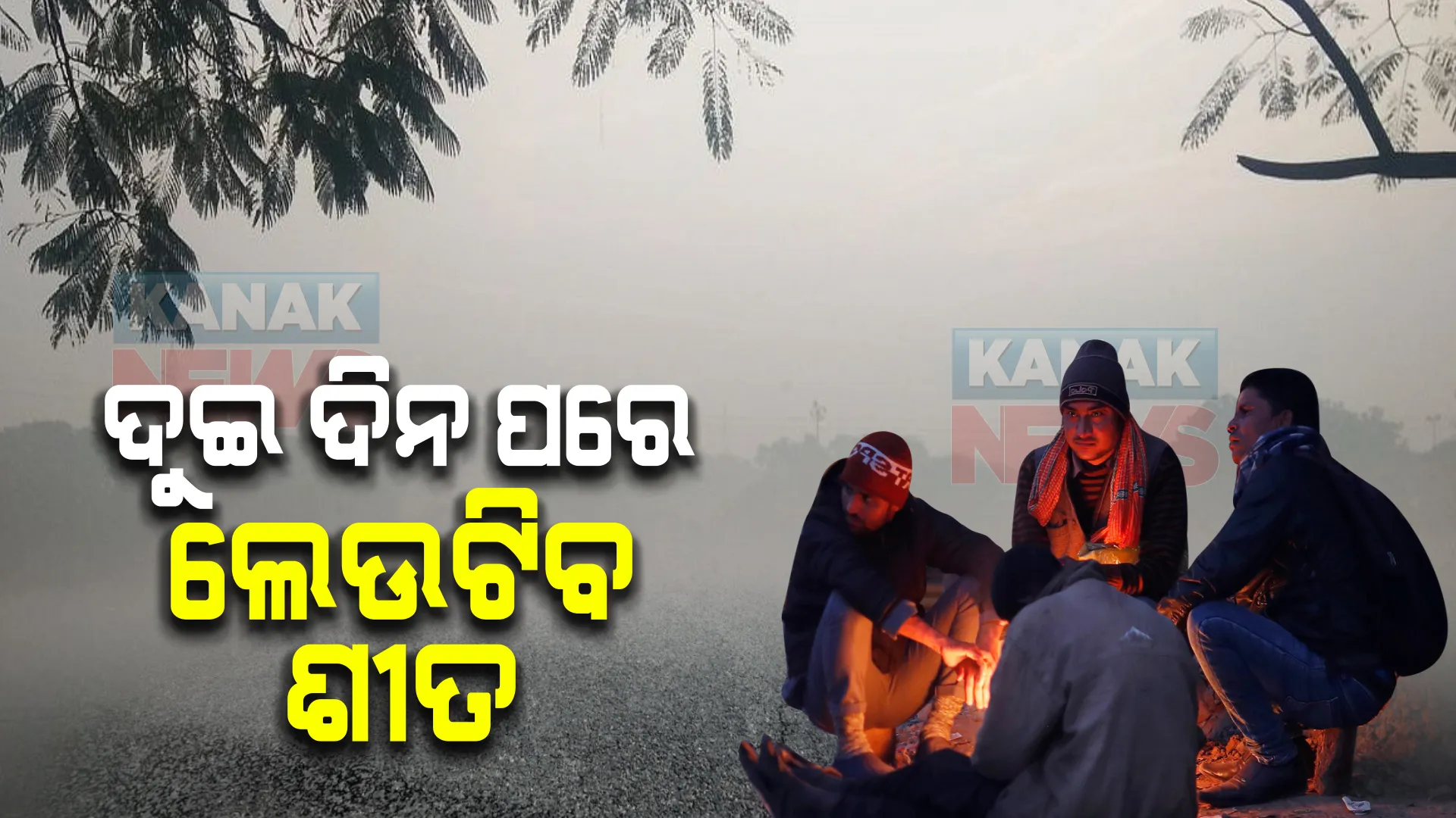 ୨ଦିନ ପରେ ଲେଉଟିବ ଶୀତ : ଘନ କୁହୁଡି ପାଇଁ ୟେଲୋ ୱାର୍ଣ୍ଣିଂ ଜାରି କଲା ପାଣିପାଗ ବିଭାଗ