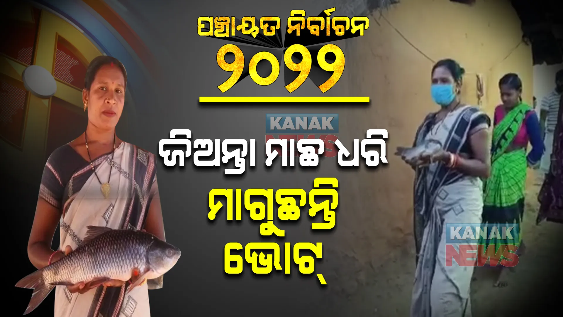 ମାଛ ଚିହ୍ନ ବୋଲି... ଜିଅନ୍ତା ମାଛକୁ ହାତରେ ଧରି ଭୋଟ୍ ମାଗୁଛନ୍ତି ଘର ଘର ବୁଲି