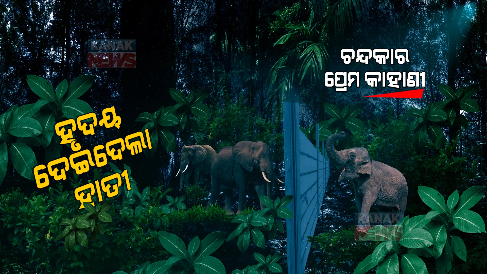 ଚନ୍ଦକାରେ ମନ ଚୋରି ହେଲା, ହୀରା ପାଖରେ ହୃଦୟ ହଜିଲା । ପ୍ରଥମ ଦେଖାରେ ନନ୍ଦନକାନନ ପ୍ରେମିକାକୁ ଦିଲ୍ ଦେଇଦେଲେ ଦୁଇ ଦନ୍ତା...