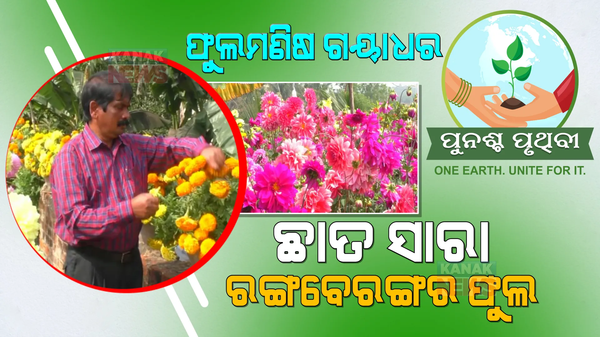 ଖାଲି ଫୁଲ ଆଉ ଫୁଲ... ମାଟିର ଛାତିରେ ନୁହେଁ ଛାତ ଉପରେ ଫୁଲବଗିଚା । ହସୁଛି ୧୦୦ ପ୍ରକାରର ଫୁଲ ।